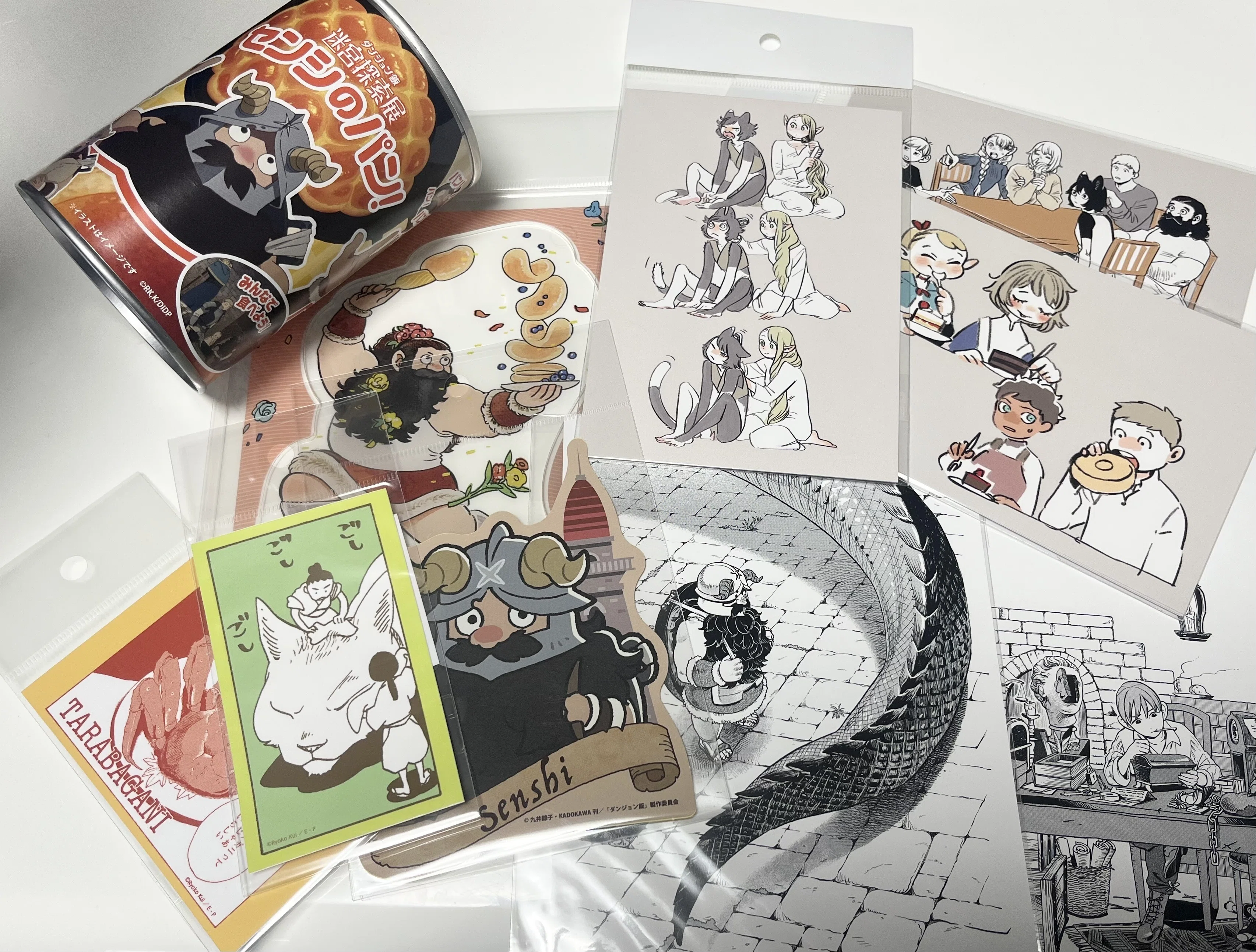 Ryoko Kui Exhibition & Delicious in Dungeon: Dungeon Exploration