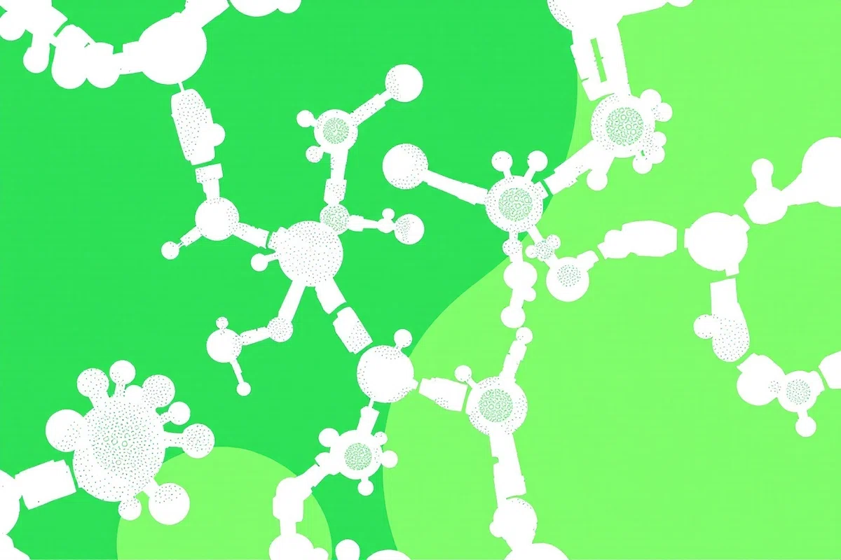 CBD_CBG_CBN_睡眠 | 精密栄養学