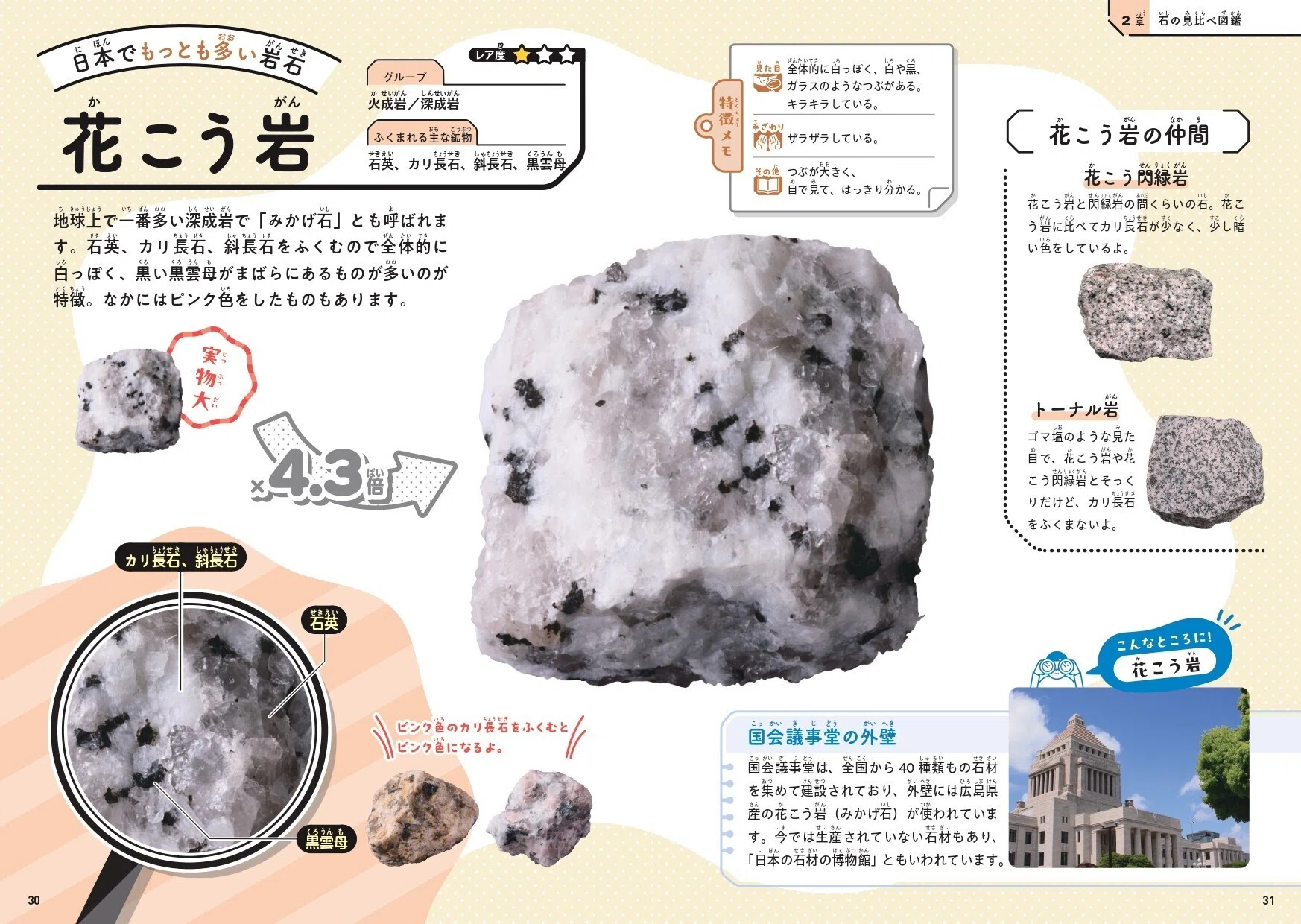 子どもから大人まで夢中になる！道ばたの石のふしぎを解き明かす『石の