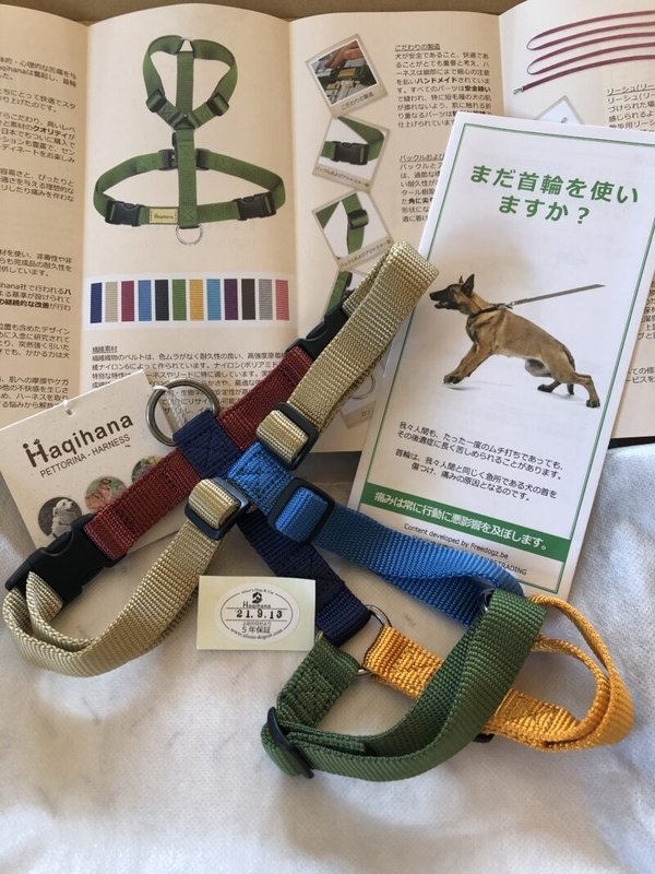 Haqihana マルチカラーハーネス SLサイズ ハキハナ ハーネス」の人気