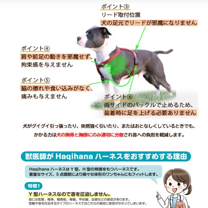Haqihana）ハキハナハーネスの評判・口コミと支持される10の理由｜ゆみ苺