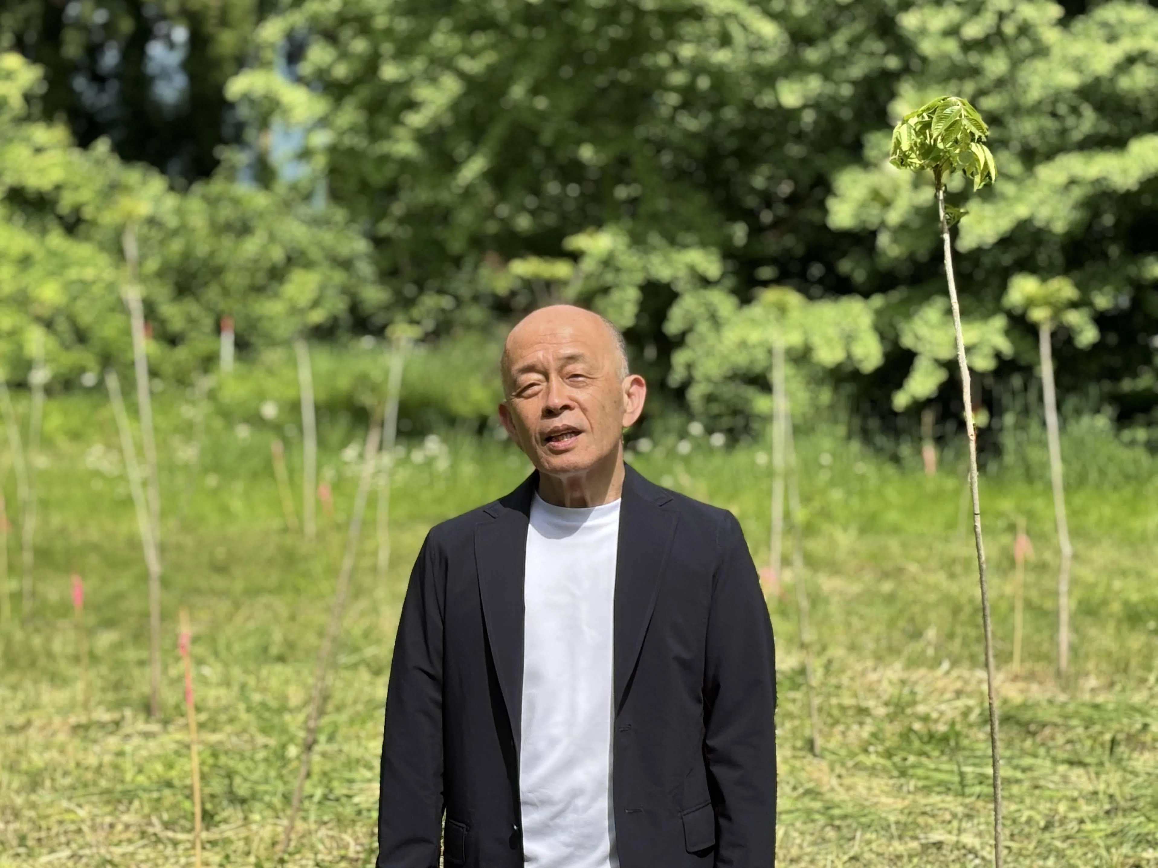 南砺発、世界へ。漆の可能性を拓く新素材『ウルシート』｜川森清さん