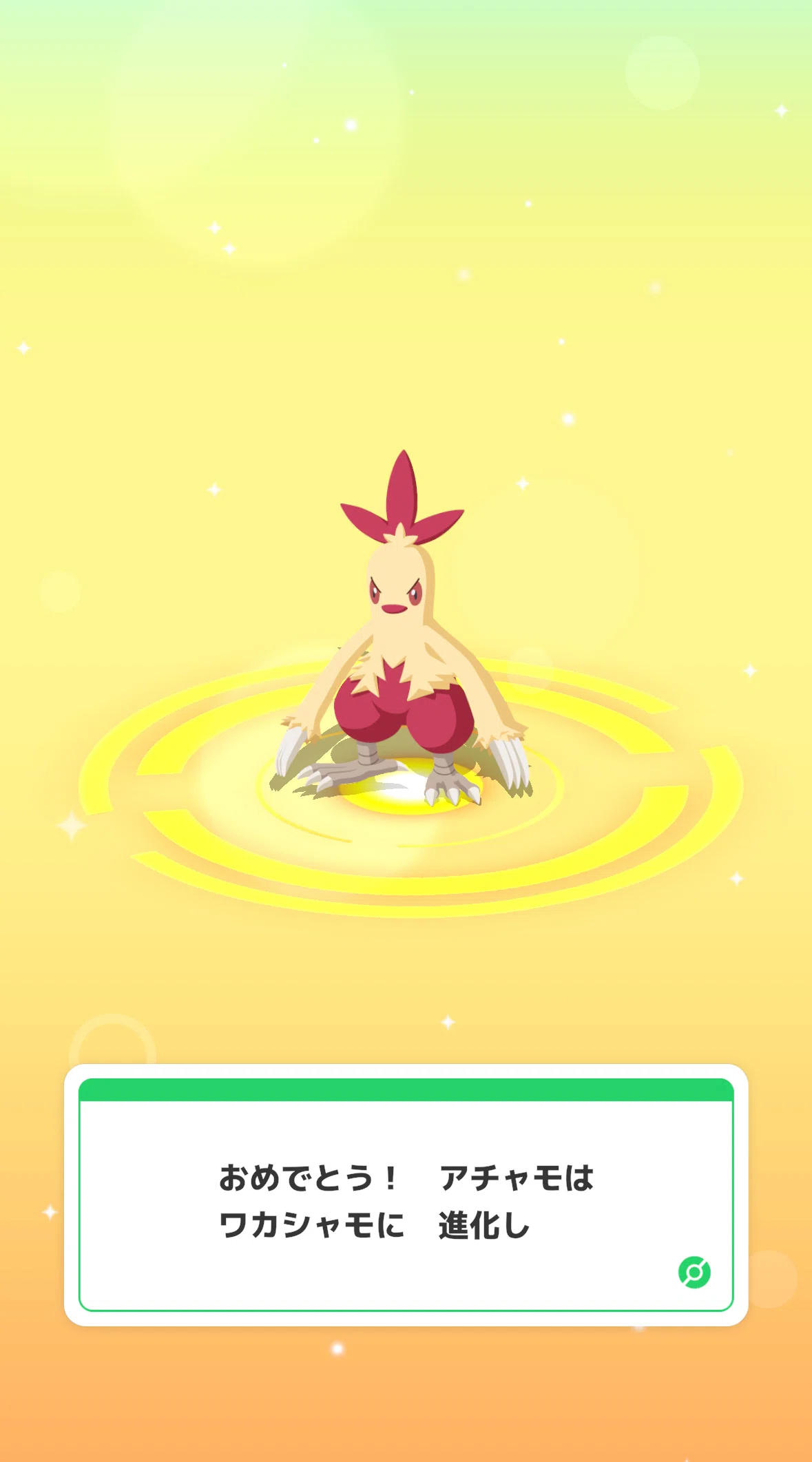 734夜 ポケモンデーたのしみ♡色違いアチャモがなんと・・・｜ほろ