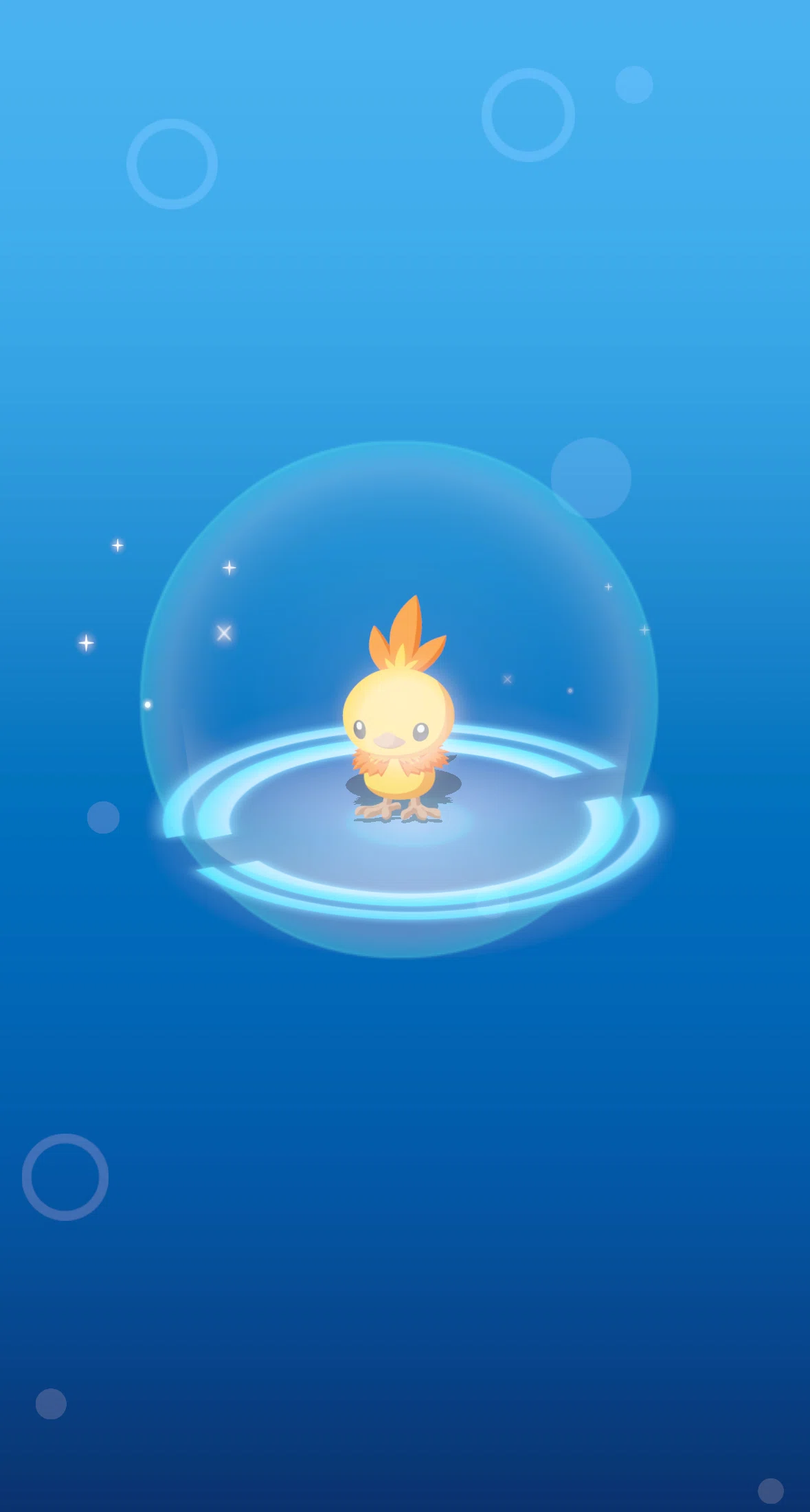 734夜 ポケモンデーたのしみ♡色違いアチャモがなんと・・・｜ほろ