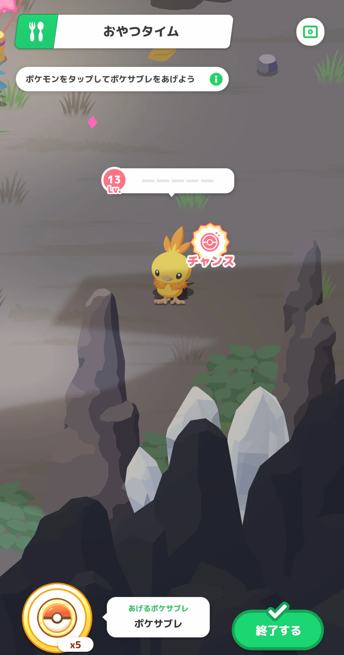 734夜 ポケモンデーたのしみ♡色違いアチャモがなんと・・・｜ほろ