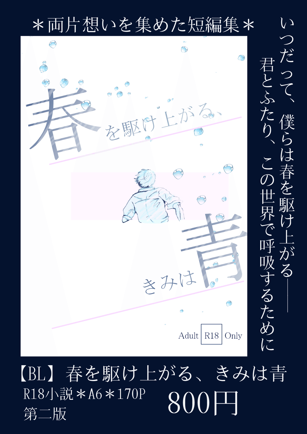 フリマ(自己紹介読んでね) 文学フリマ香川2参加します|hamapito