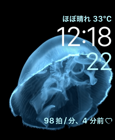 海月_20250721｜Synamon*
