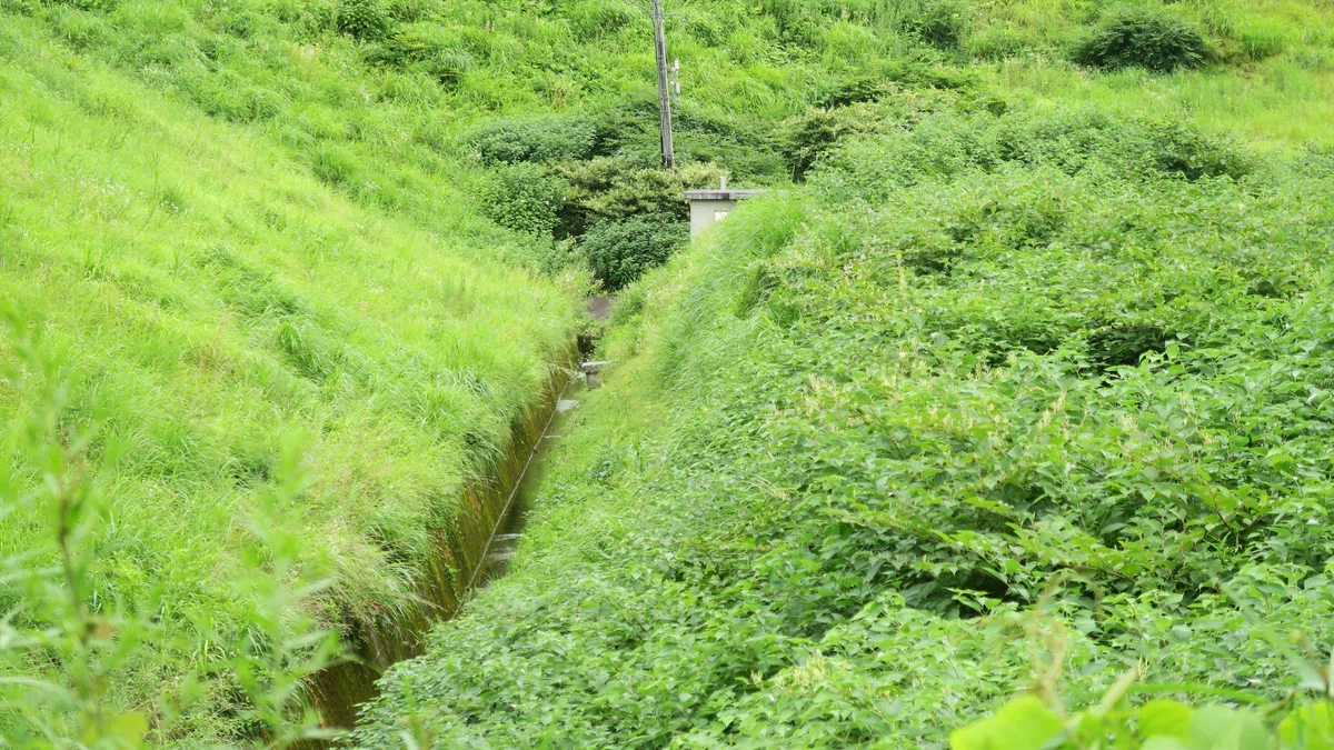 浅河原調整池 雨水用流路