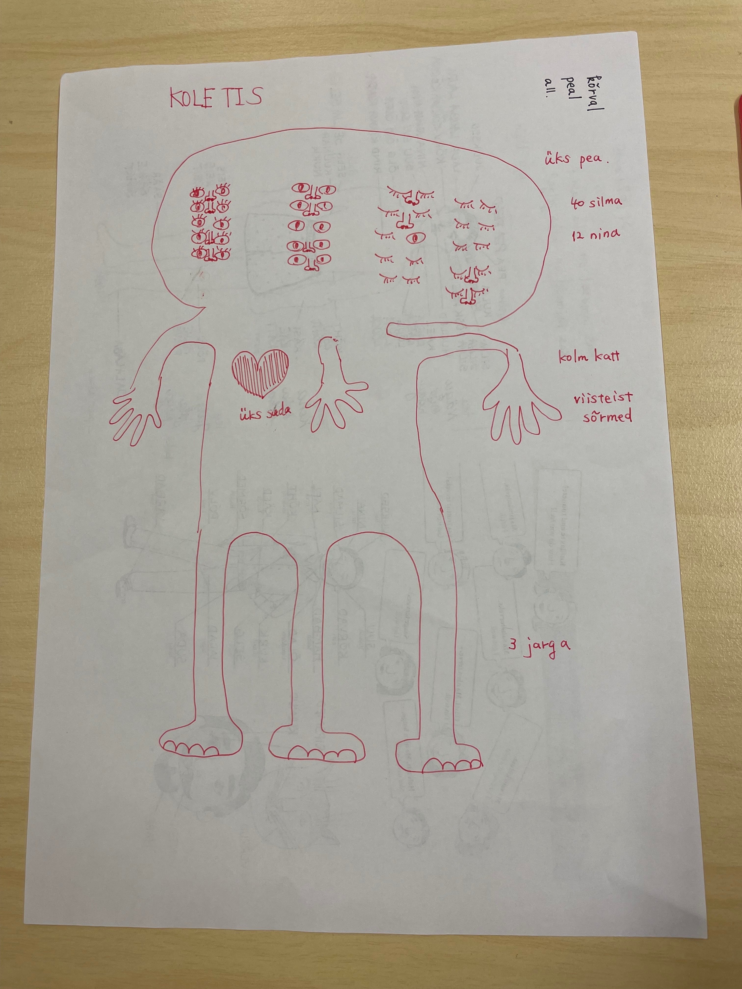 わたしたち外国人がエストニアで疑問に思ったこと｜Natsuka Muto