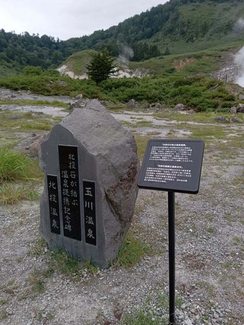 日本唯一の北投石、強酸性の湯治場玉川温泉｜珍湯太郎