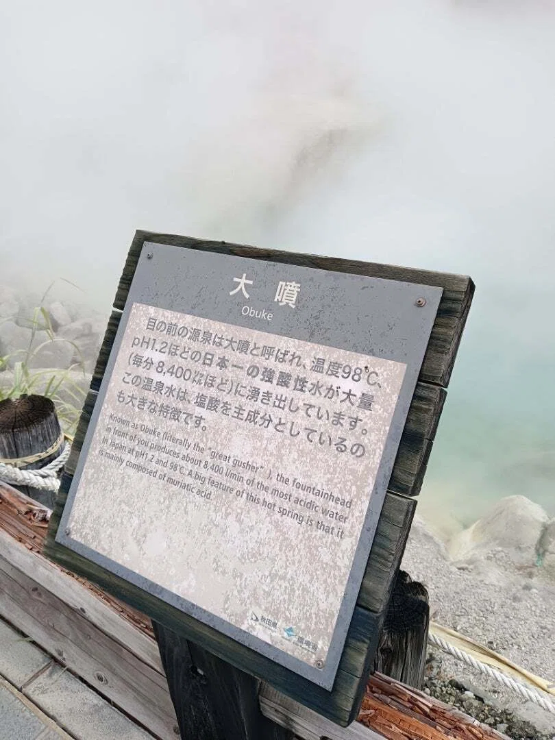 日本唯一の北投石、強酸性の湯治場玉川温泉｜珍湯太郎