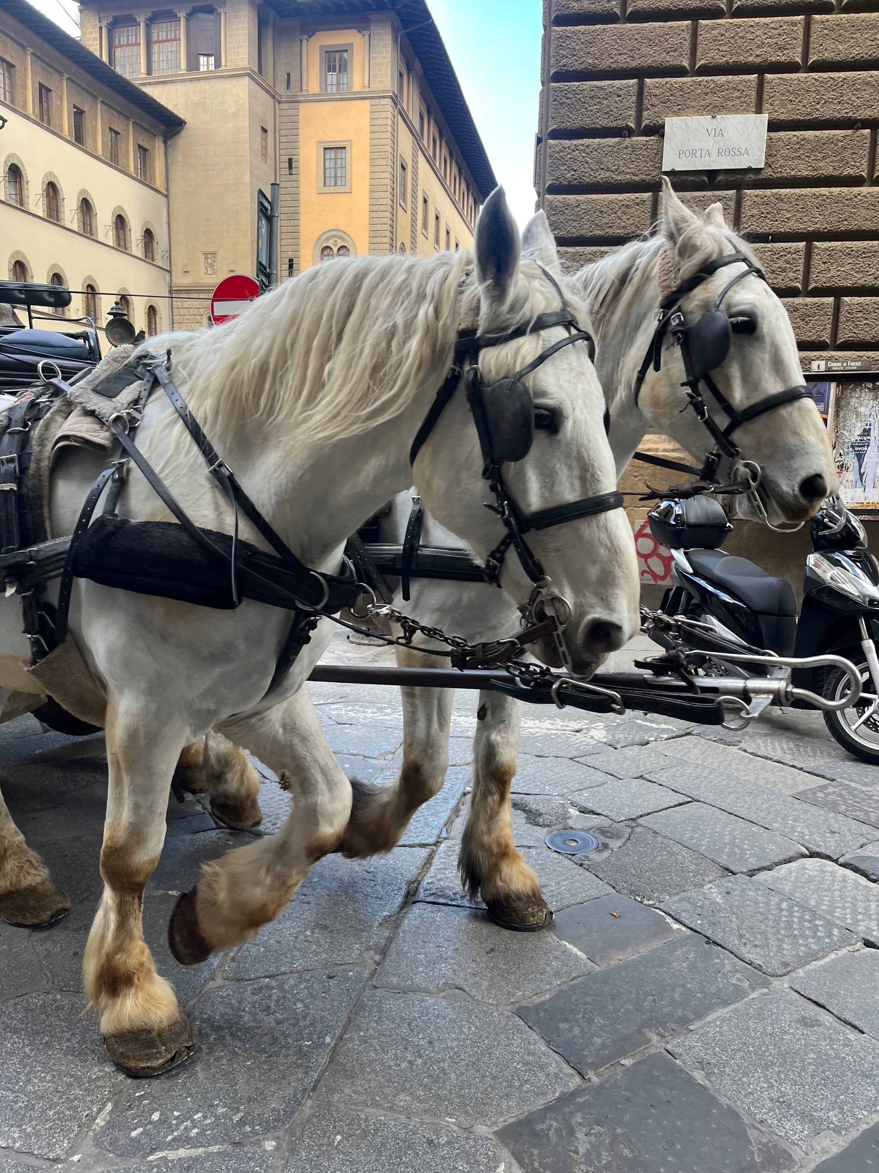 昼下がりのフィレンツェ 昼下がりのフィレンツェ 昼下がりのフィレンツェ 昼下がりの