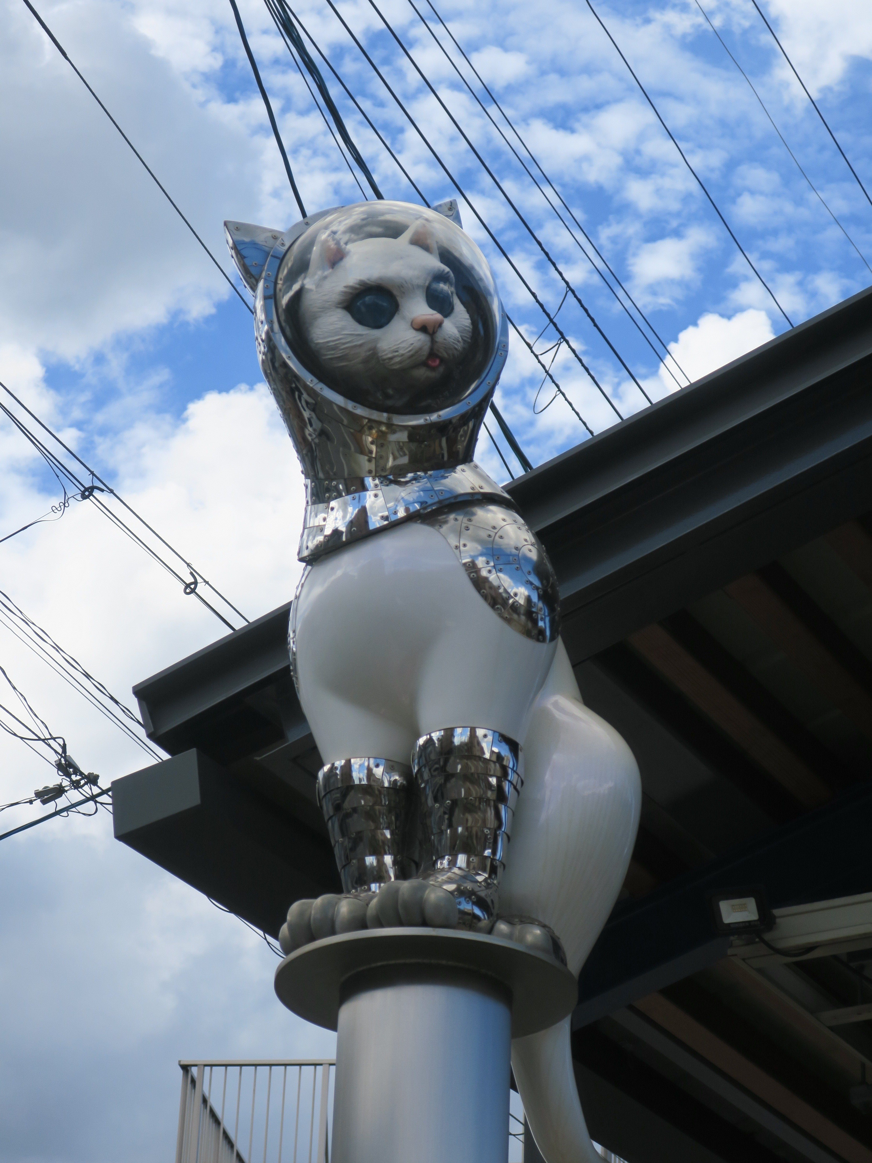 梅ツアー会場 京都芸術大学、最寄駅から魅せてくれました｜omura_fu_senryu