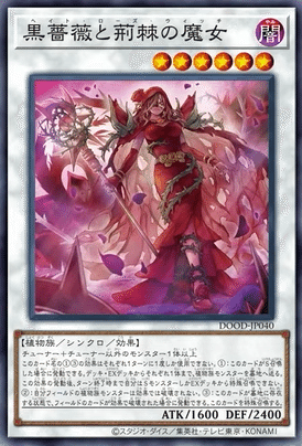 ローズドラゴン新規】展開力＋安定感UP！使い方・解説｜すりみ