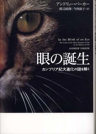 眼の誕生