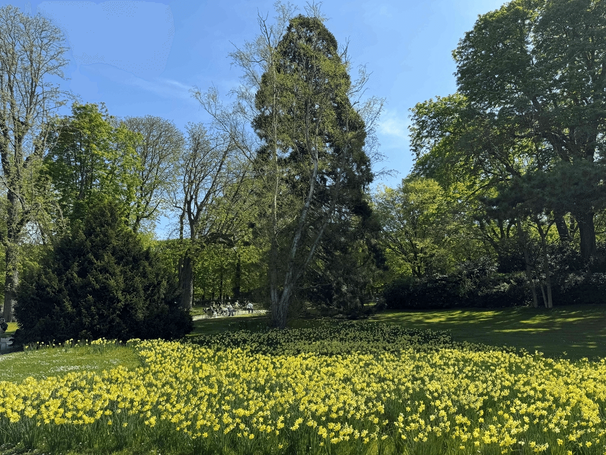 市民の憩いの場所リュクサンブール公園｜akio