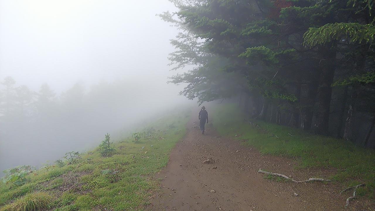 雲取山｣(2017m)【深田久弥の「日本百名山」を歩く】｜水谷俊樹