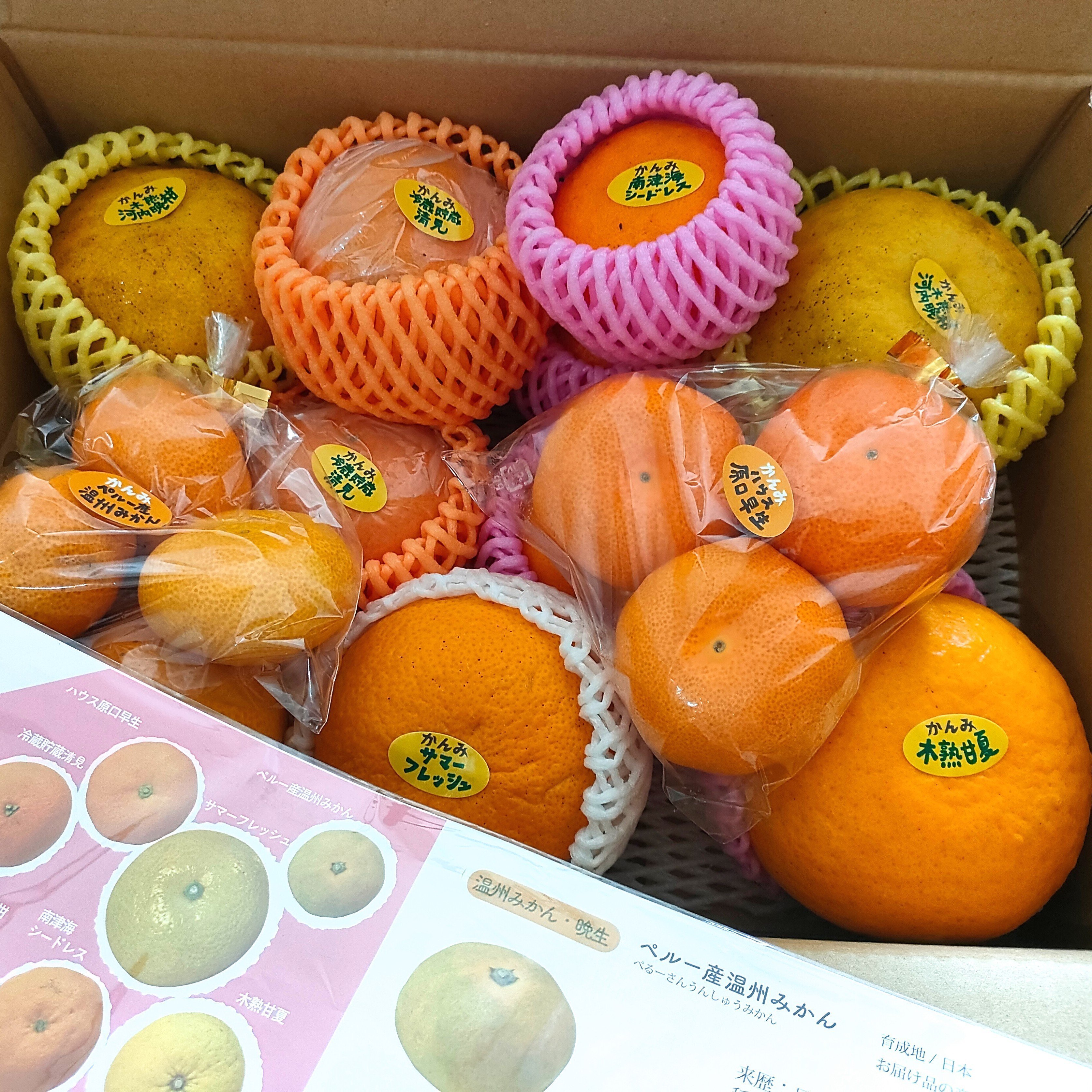 柑橘のサブスク かんみ】7月号｜みな