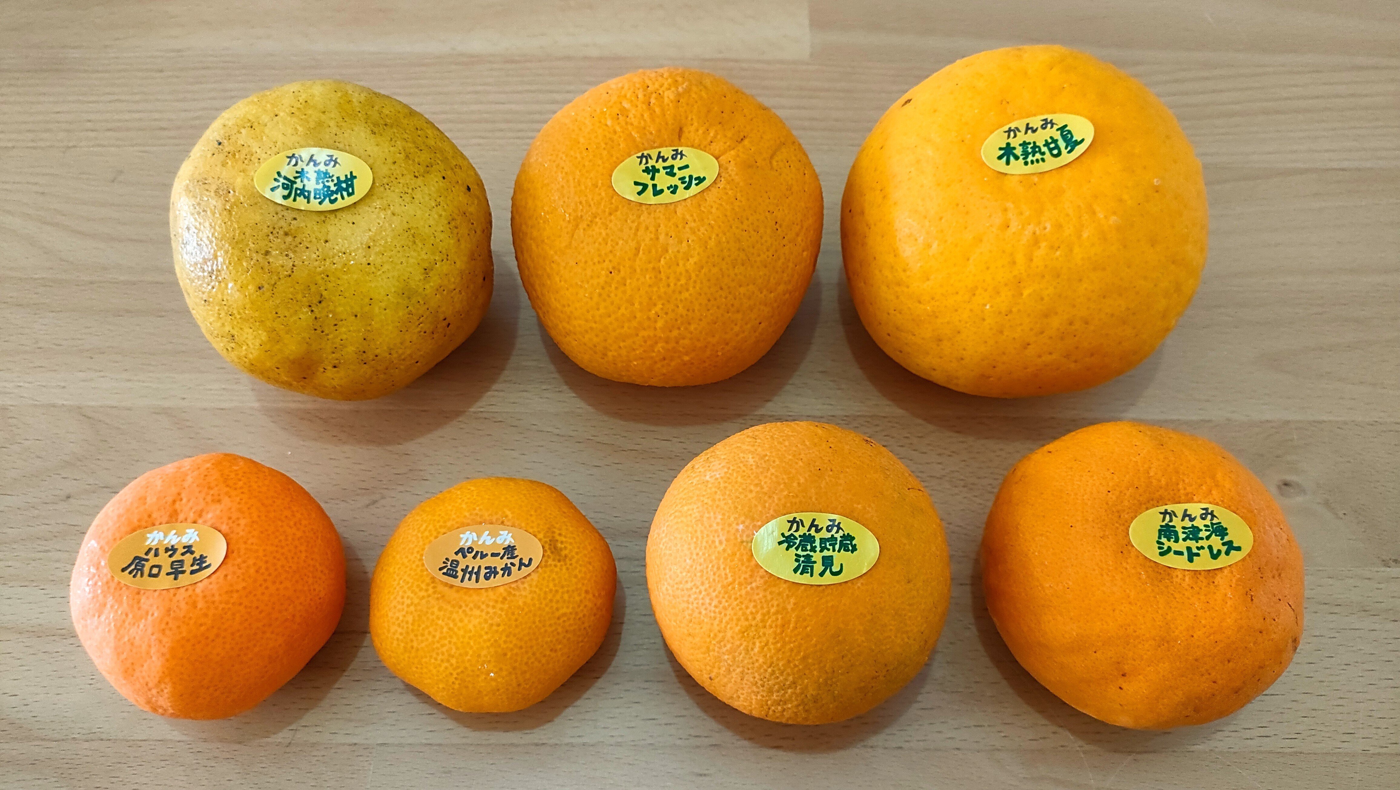 食レポ】柑橘のサブスク かんみ7月号｜みな