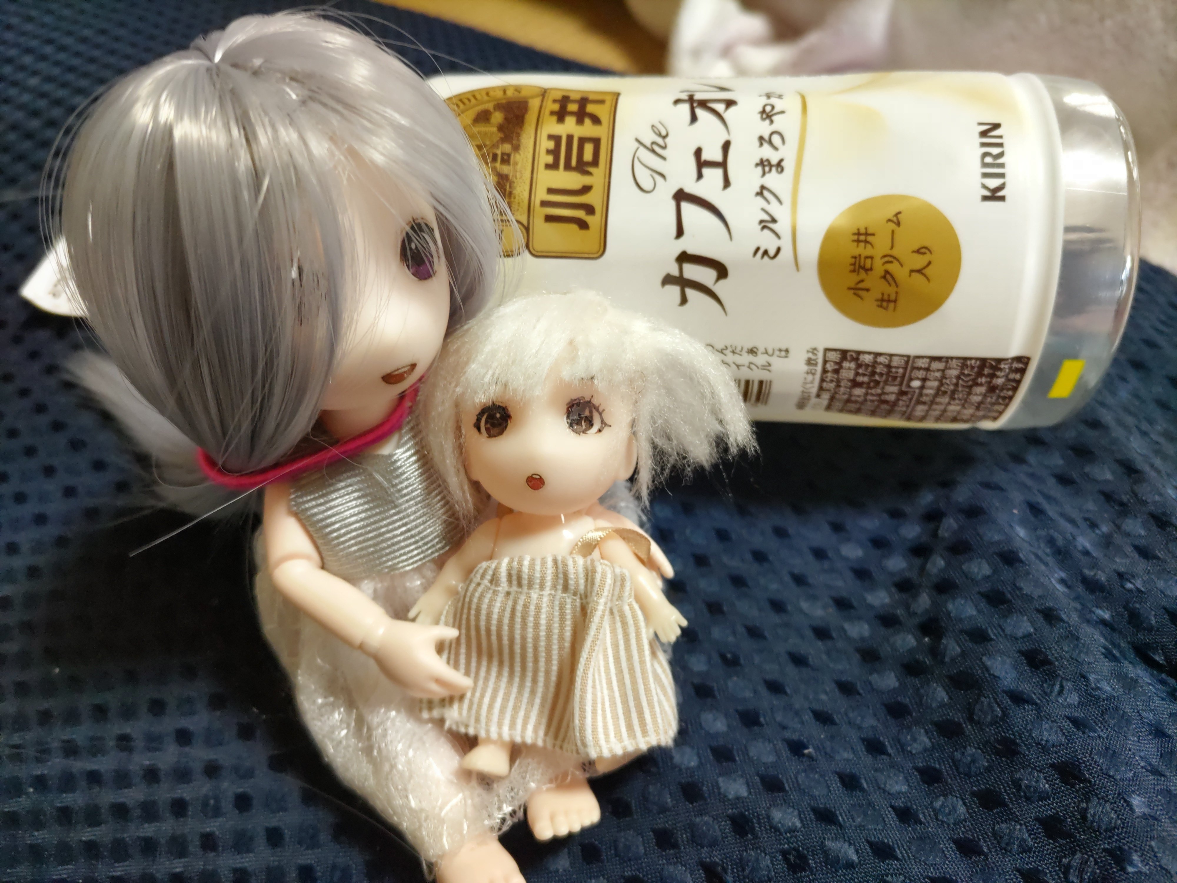 セリアドール第二弾〜説明書はちゃんと読もう編〜｜木野山キノ