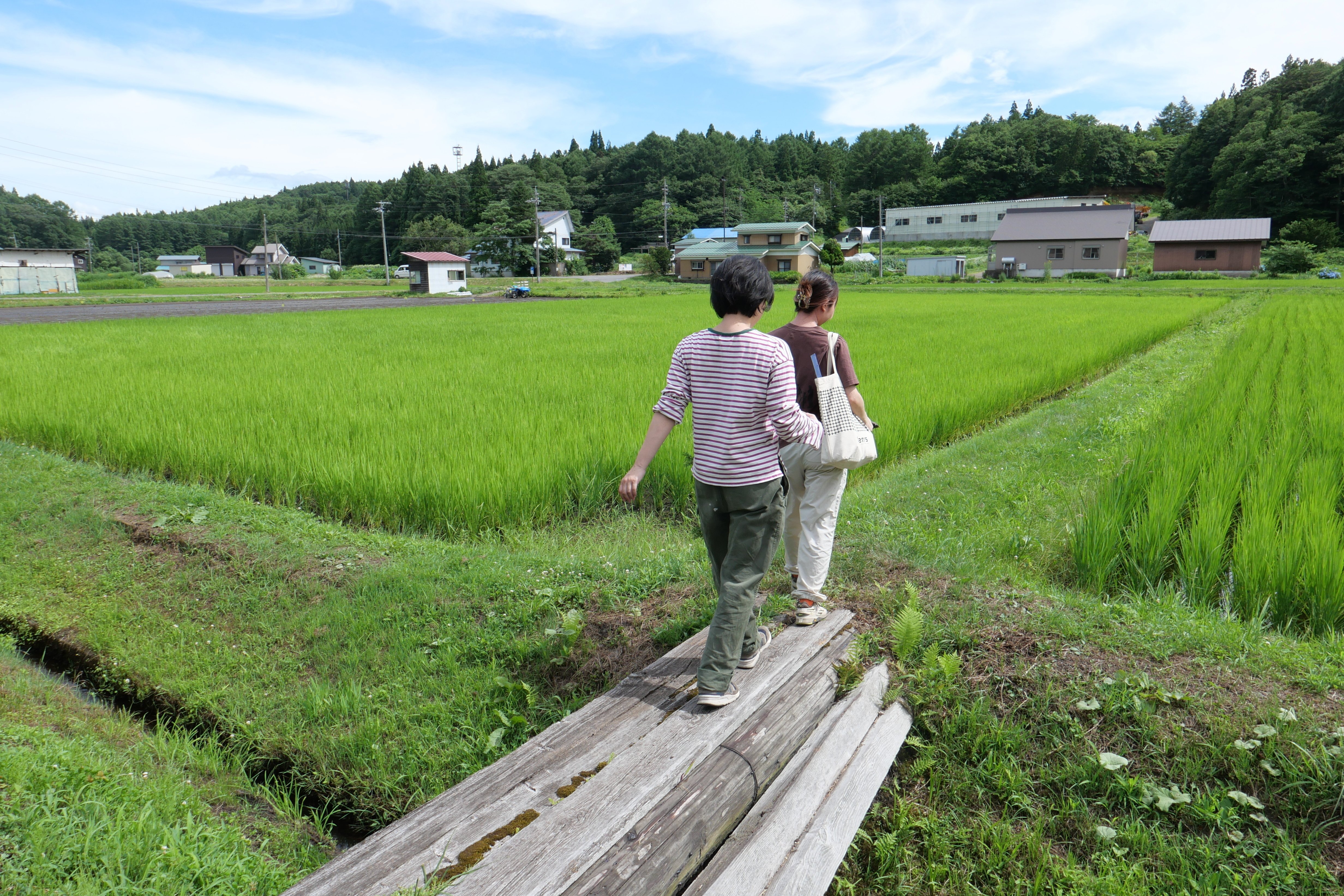 信濃町の集落で「新鮮採れたて！本の無人販売所」を期間限定オープン