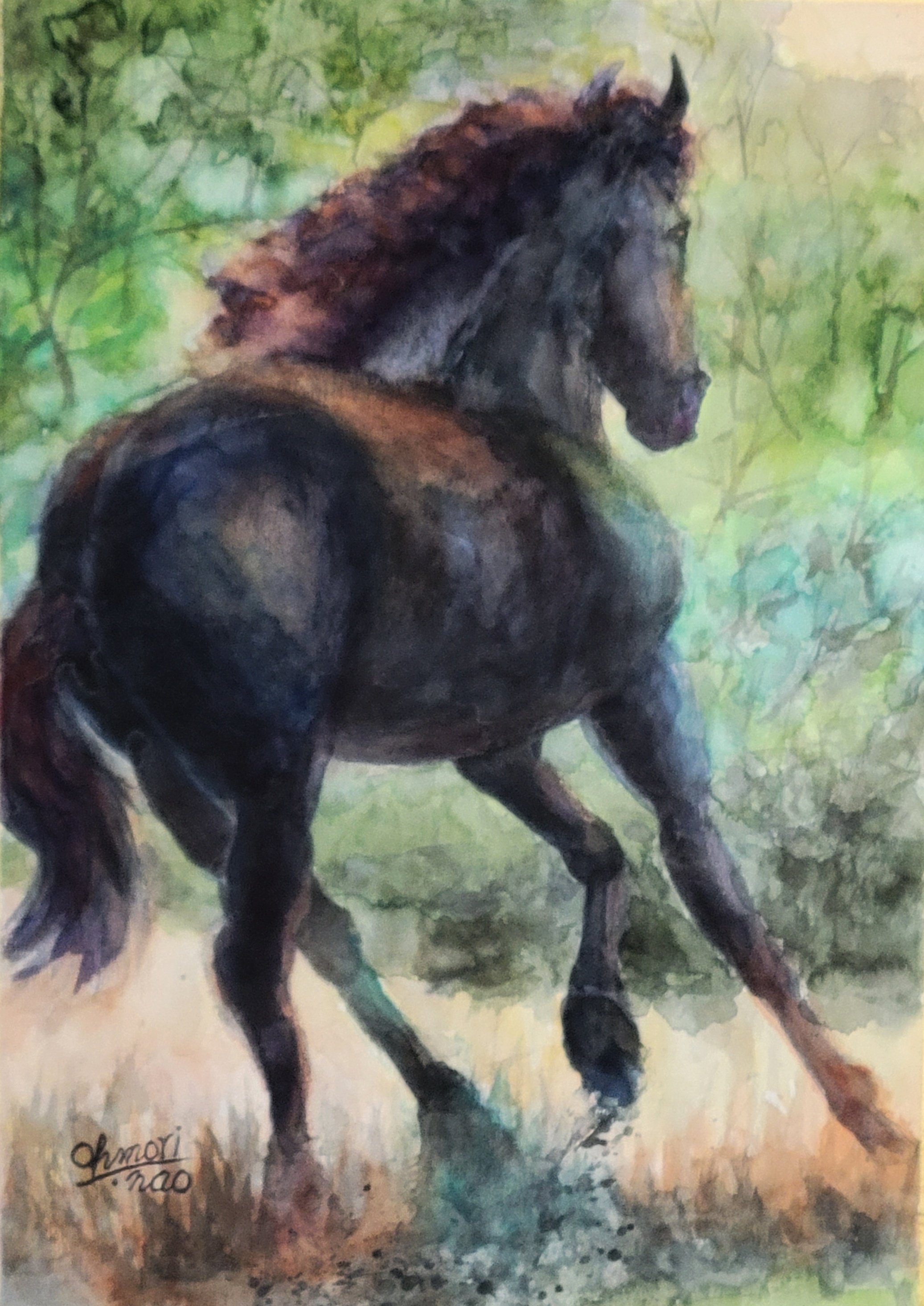 馬の水彩画 オレンジと黒 立ち上がる馬(高級水彩画用紙、F4, 24cm×33，5cm、墨、水彩