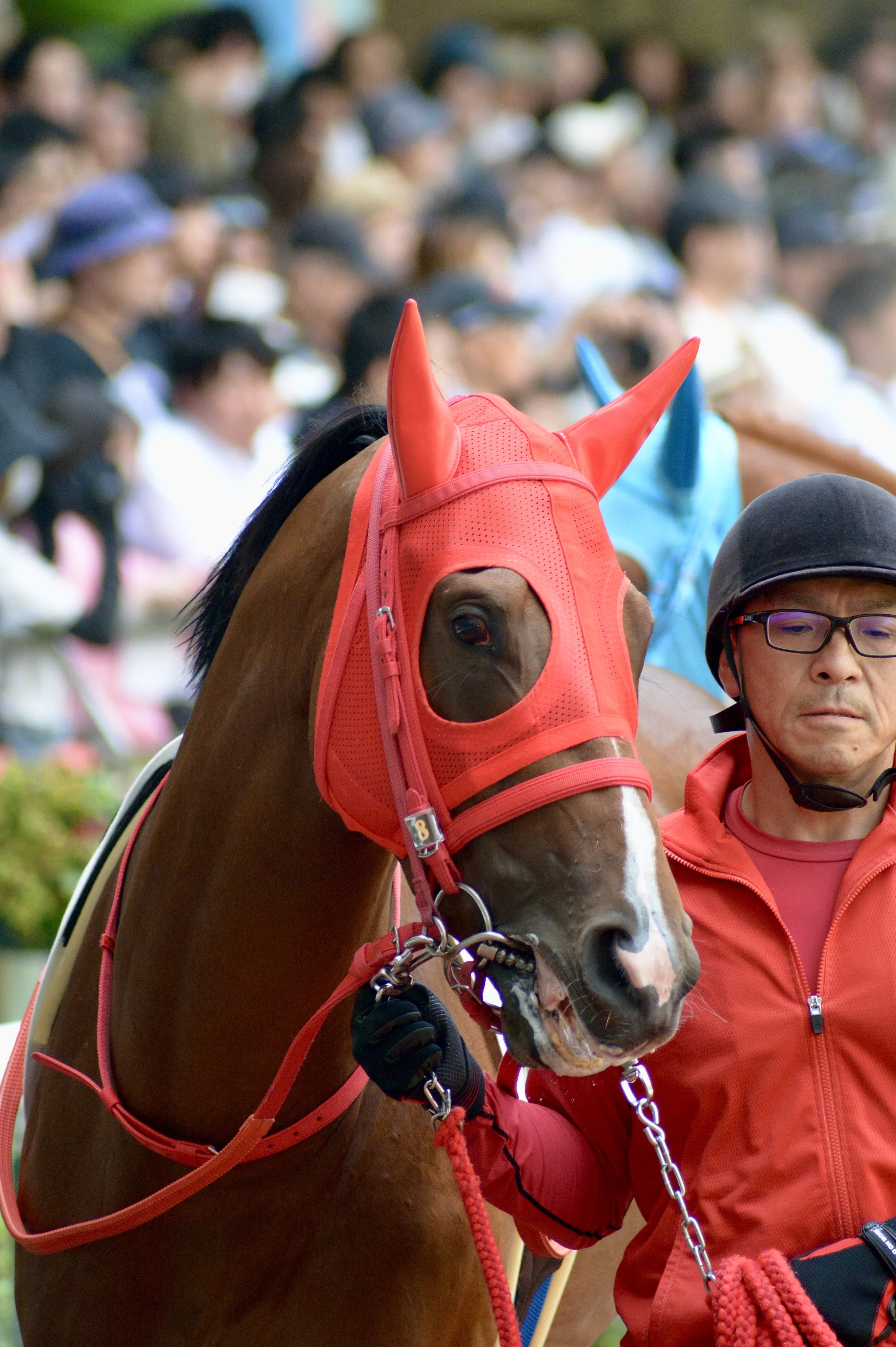 【限定】福島競馬場馬ももりん 2025年7月13日 福島競馬場と美味しいもの｜ぽてち
