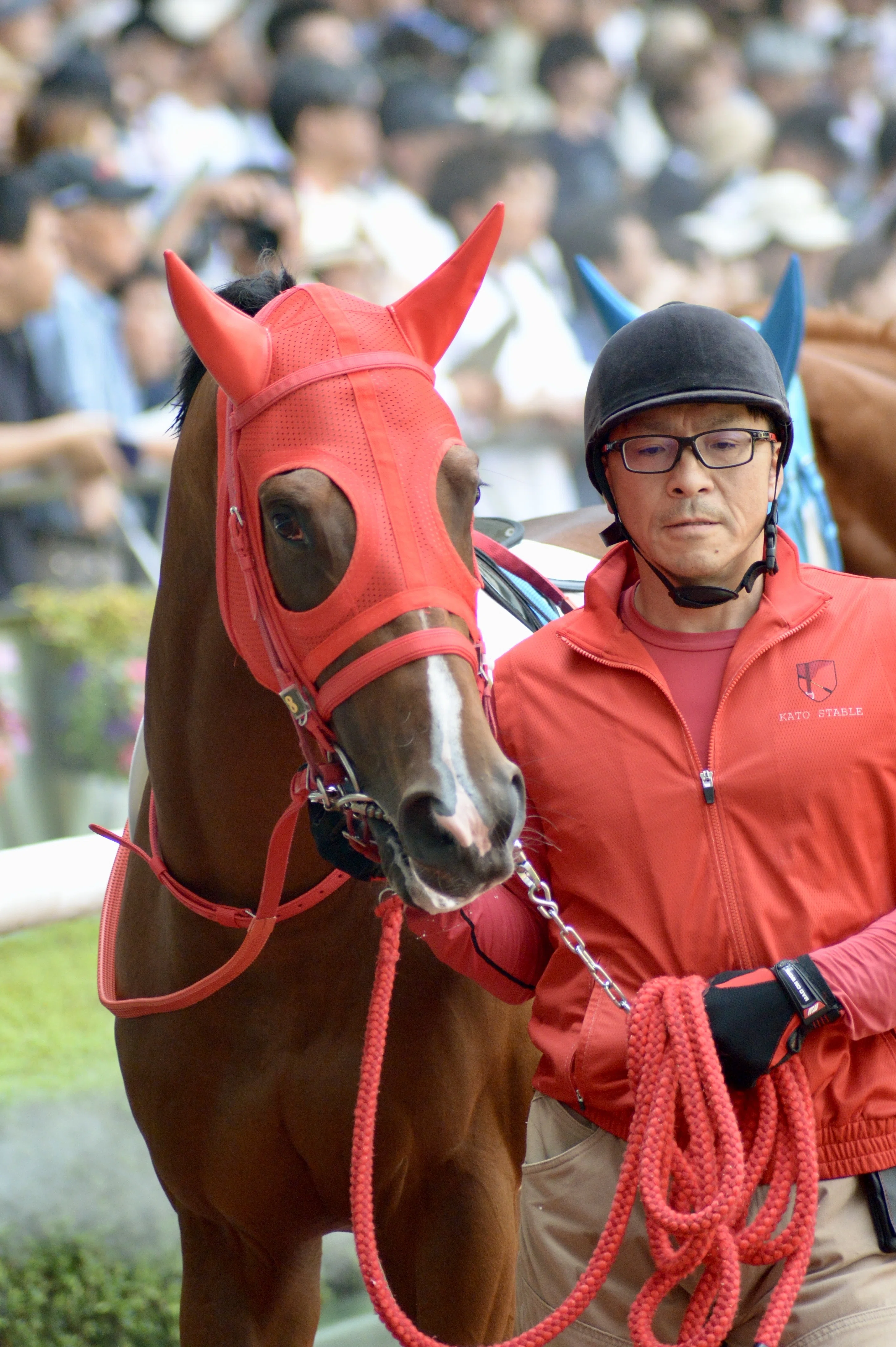 2025年7月13日 福島競馬場と美味しいもの｜ぽてち