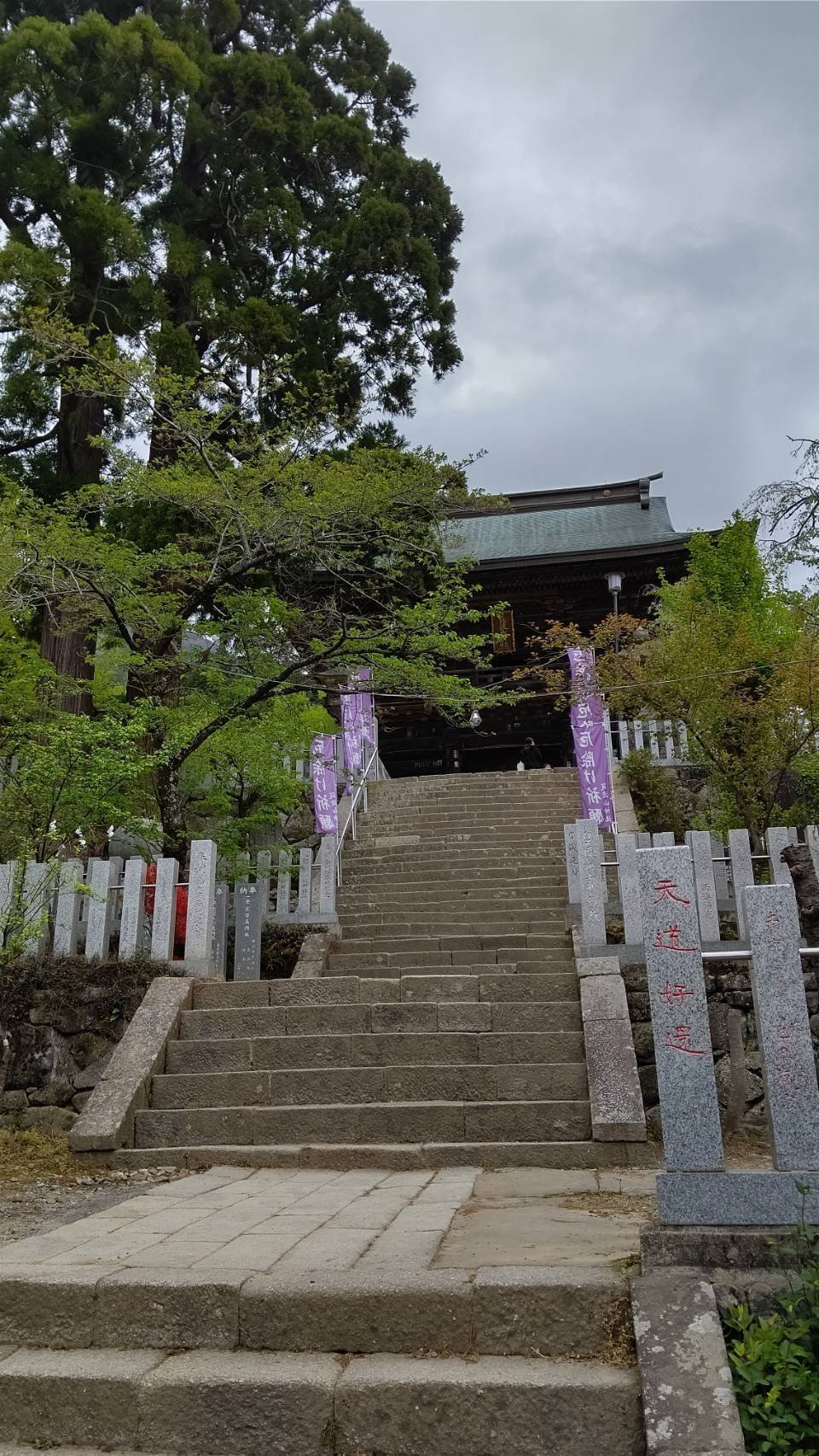 神社散歩#18（筑波山神社）｜葦原メシオ