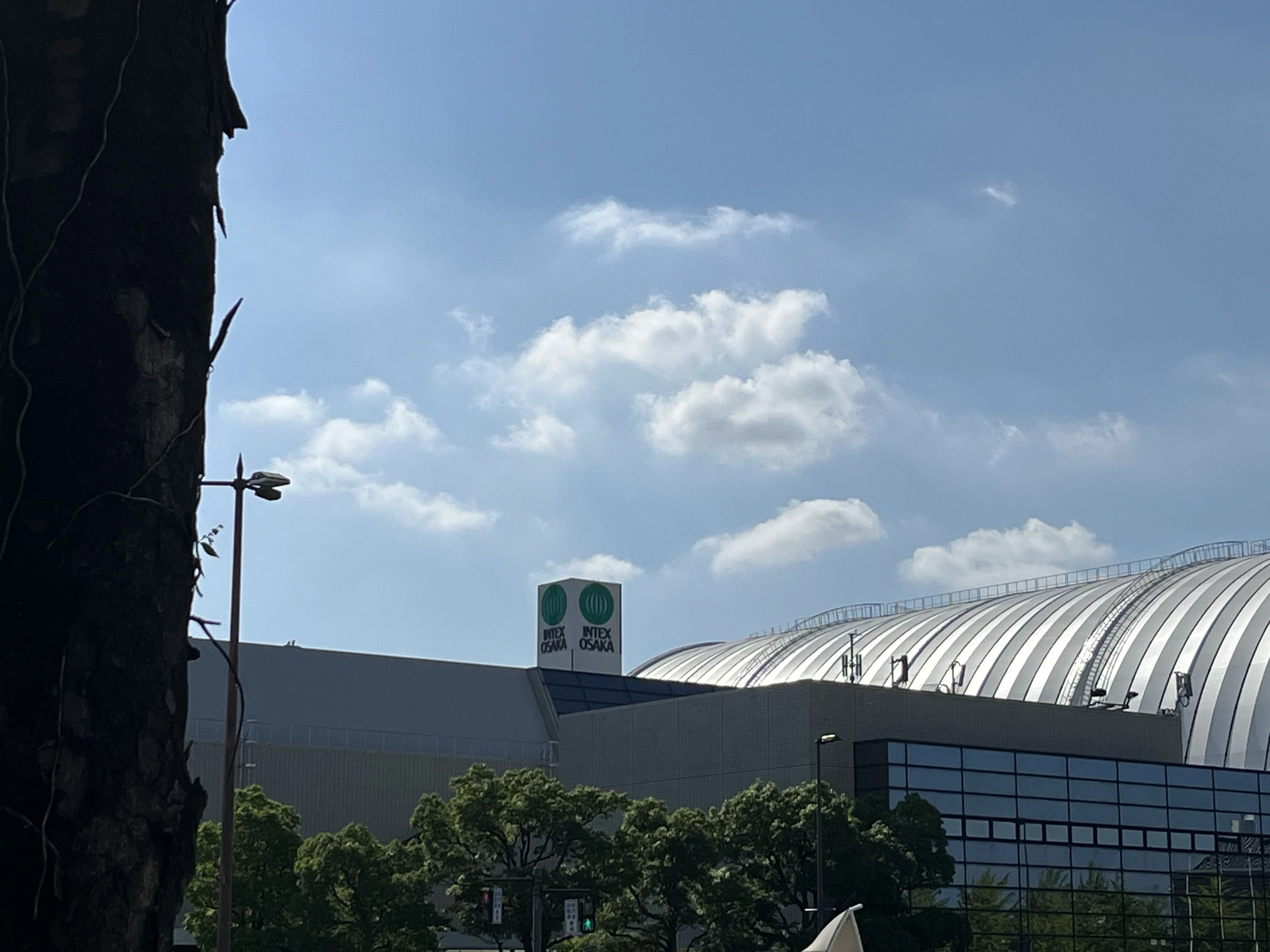 8年ぶりにMTG復帰してマジック大戦祭に参加したお話（イベント参加編