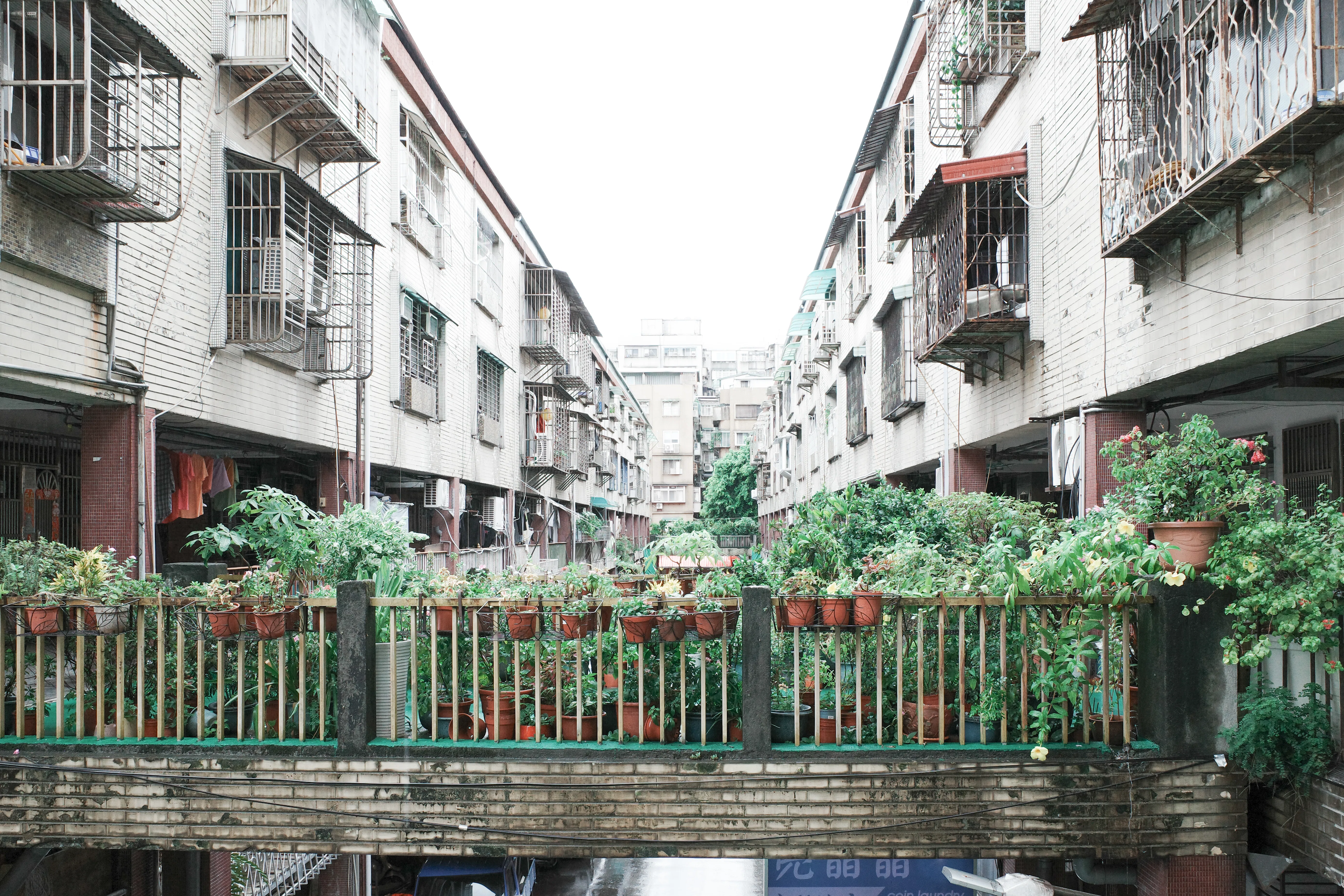 台湾の建物群」/ 油彩、キャンバス / H 64.5×W 53.0 台湾の建物群