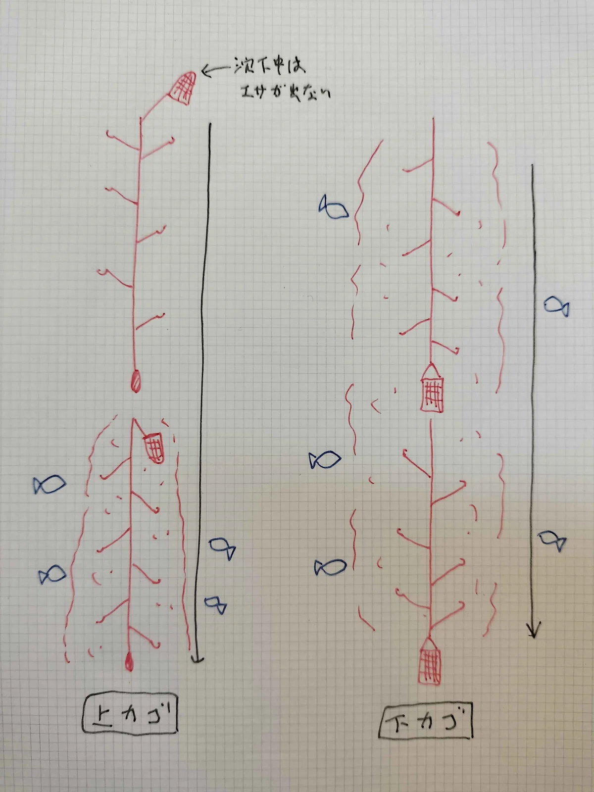 上カゴと下カゴの違い説明図