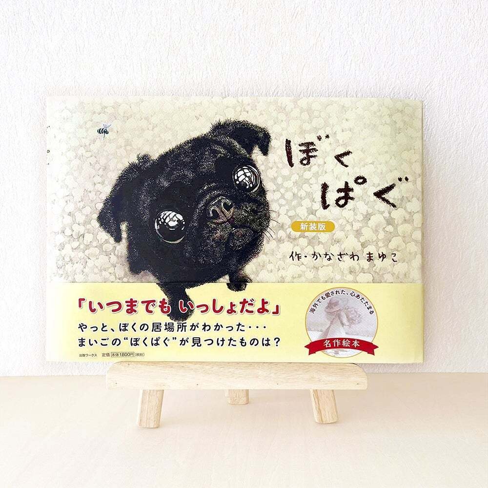 【絵本作家】金澤麻由子「ぼくだけ？」猫　アクリル画　額装 金澤麻由子🌼8/10-8/26 絵本原画展@つづきの絵本屋『どうぶつ