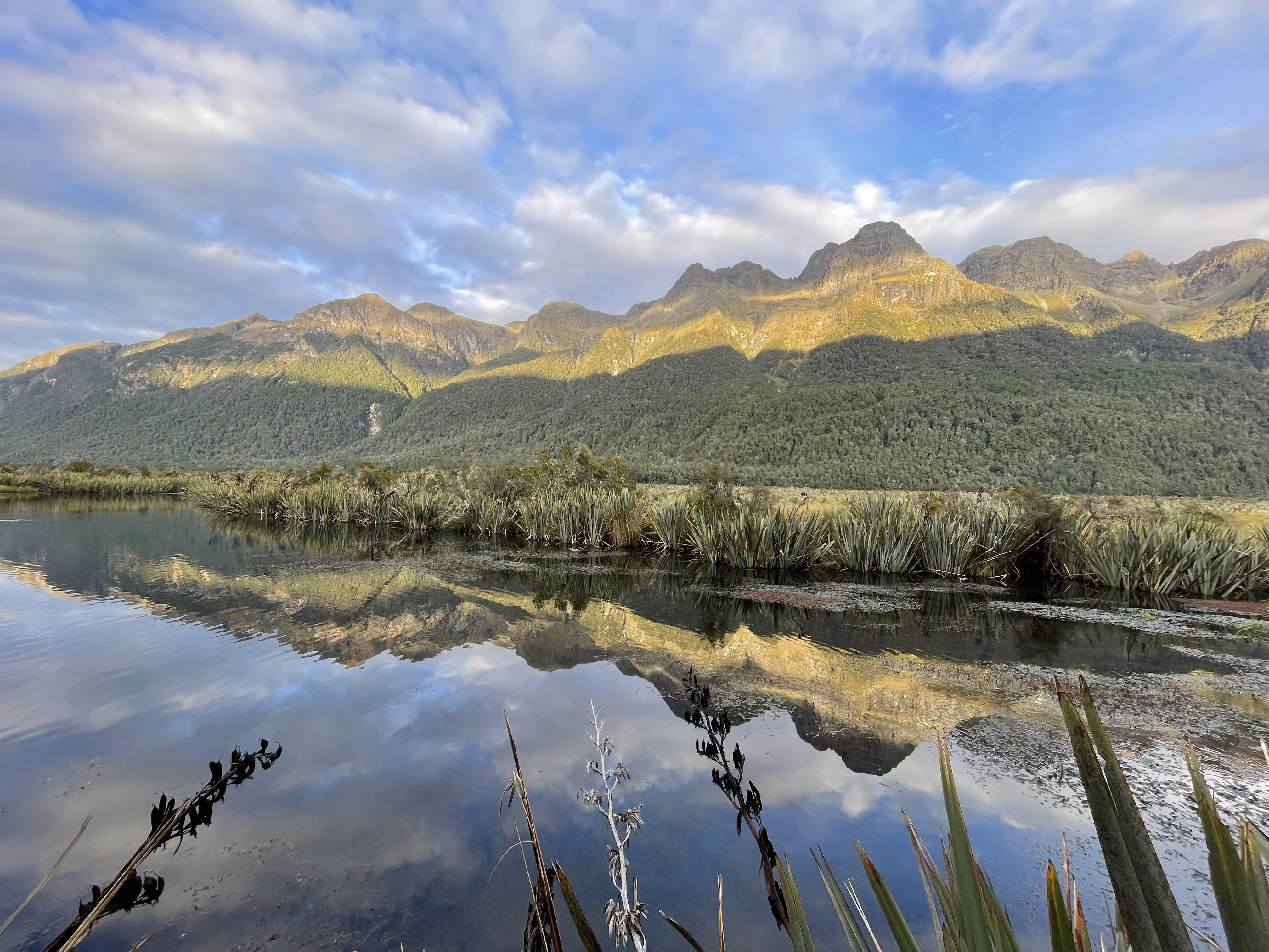 ニュージーランド121ドルになります、 New Zealand South Island Travelogue 5: Traveling the Scenic