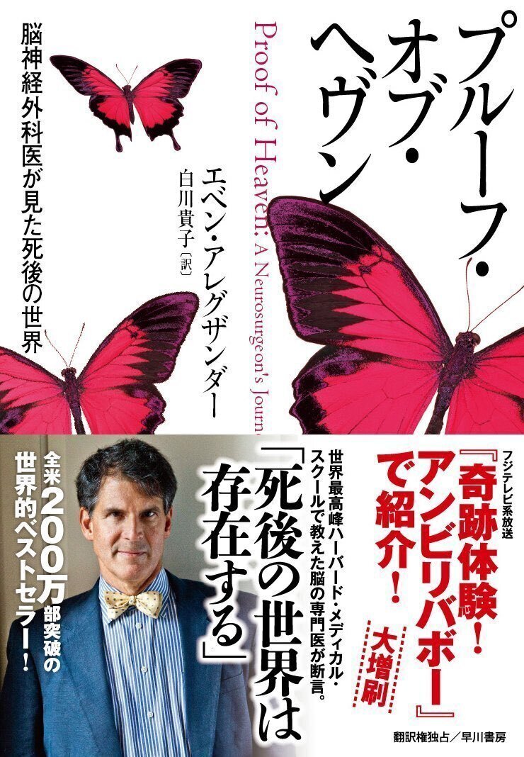蝶になる 閲覧注意！】アゲハ蝶が羽化して蝶になりました！！！ - 雑貨屋