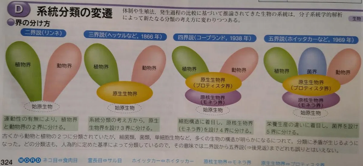 五界説は時代遅れか?|yubinor