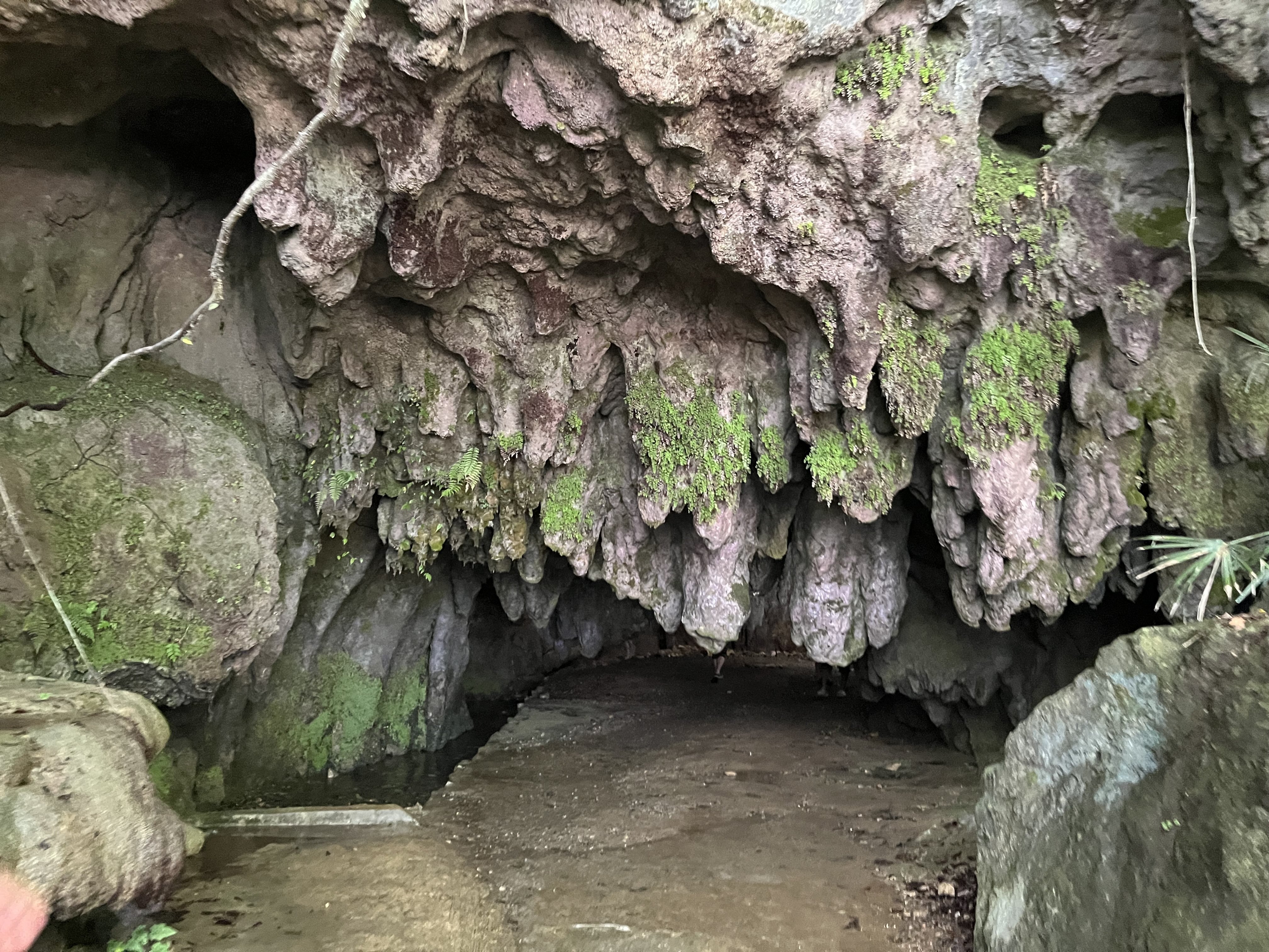 平尾台で地球の歴史を感じる日～後編～｜菱幸産業株式会社 西日本支店