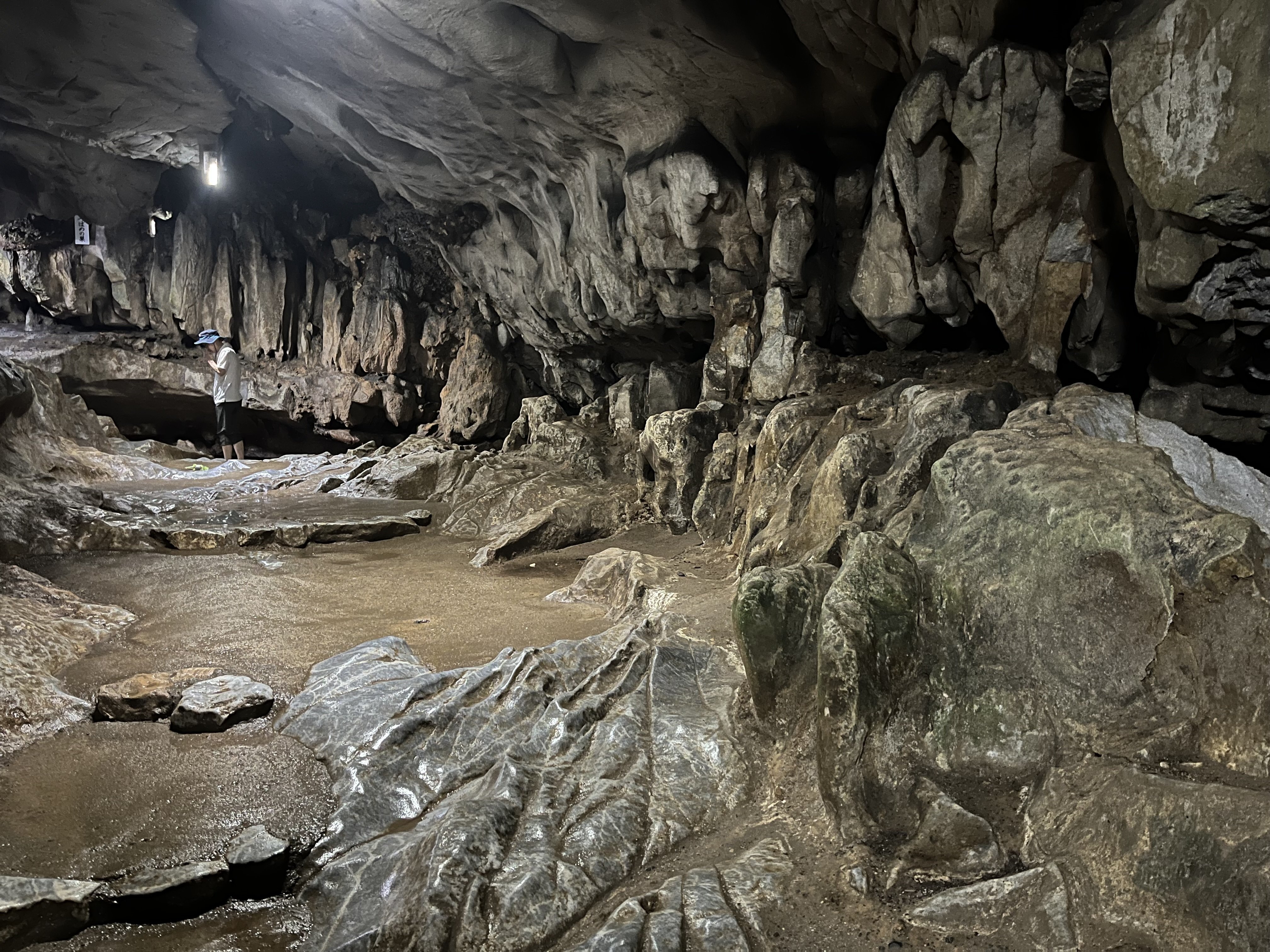 平尾台で地球の歴史を感じる日～後編～｜菱幸産業株式会社 西日本支店