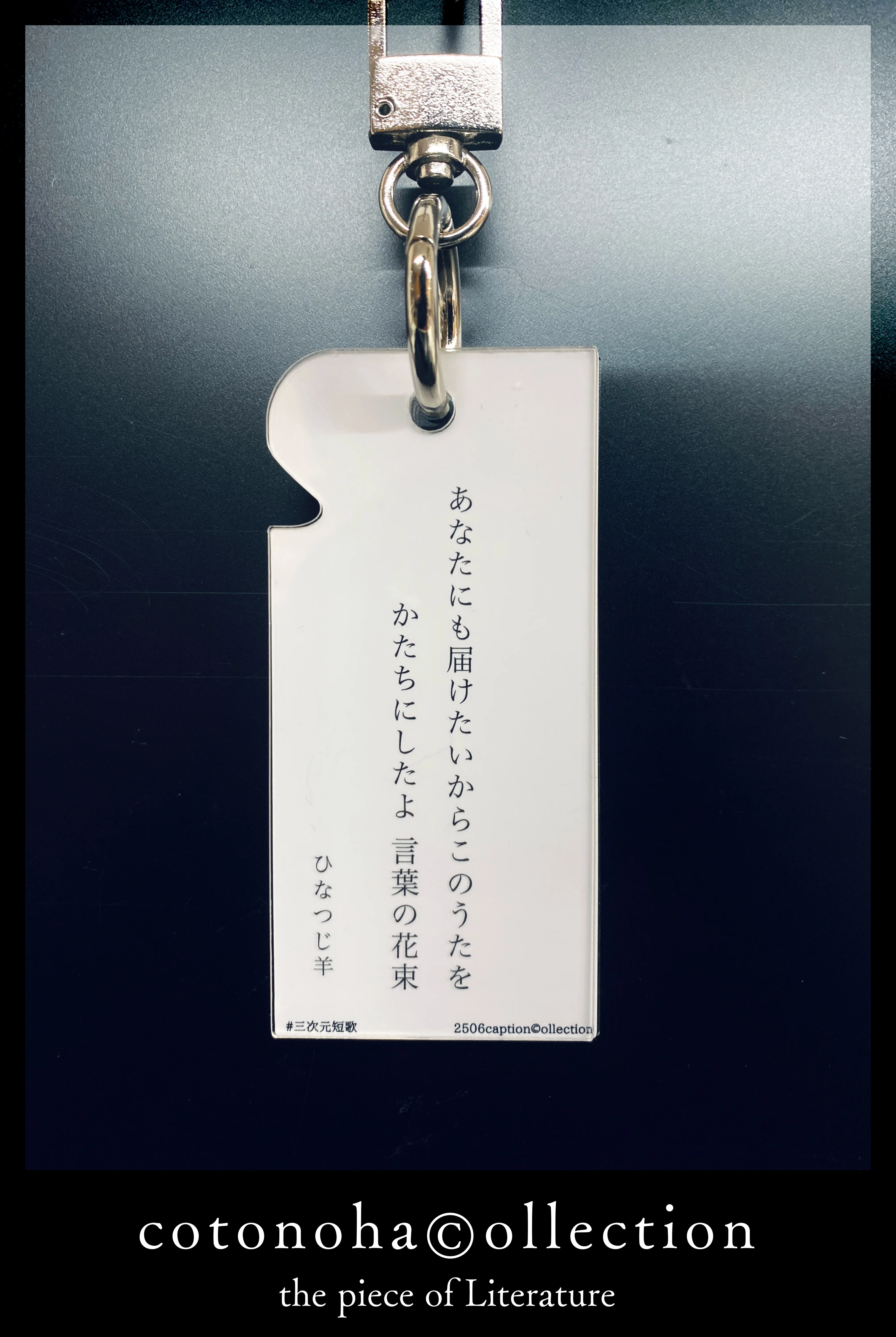 QV11-006 SAPIX 国語 言葉の学び コトノハ 基礎/発展編 2014 計2冊 S2D