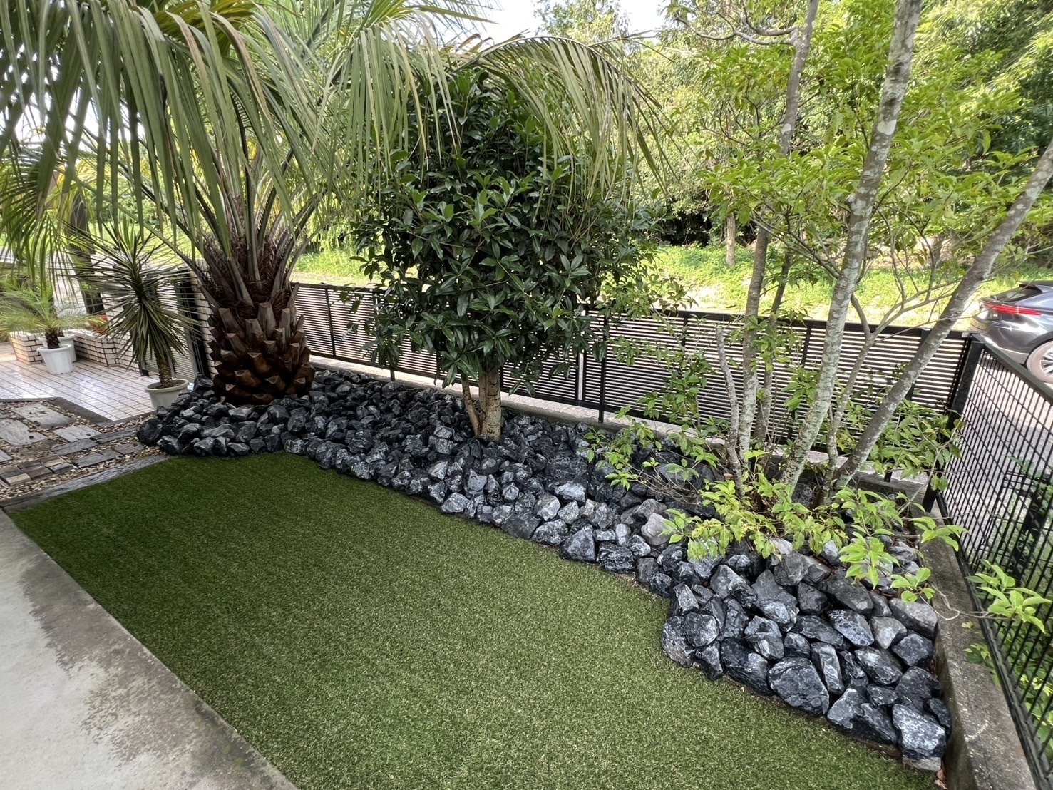 ただいま半額です！！ 40本 6級品 姶良市まで送料込みガーデニング 庭づくり 暮らしを彩る✨ Photograph @takuya_yamauchi_photogaraphy ~庭からの