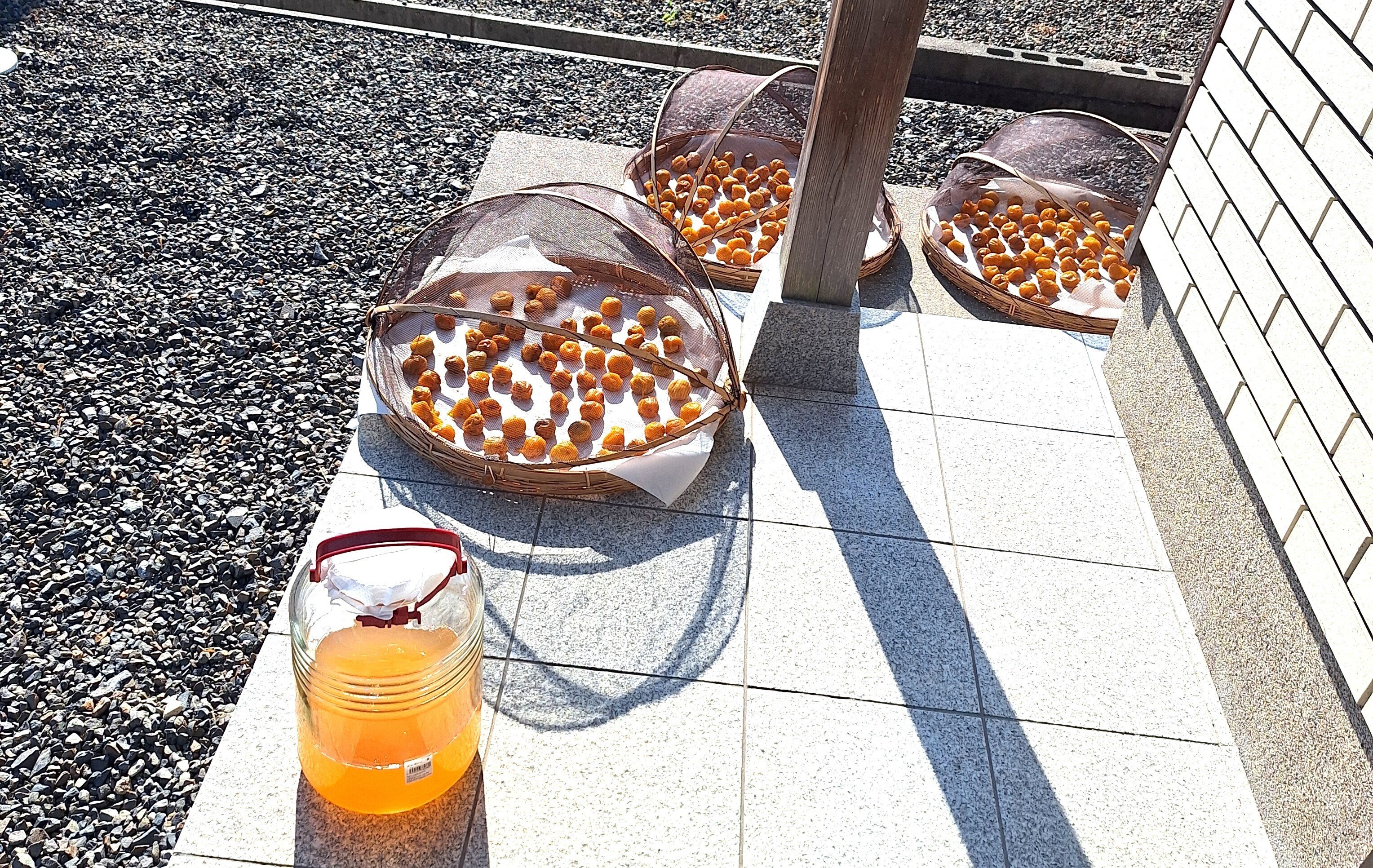 うめぼし様 WEB限定】YURAGU 和紙パネル 30×30金地梅｜家を装う｜中川政七