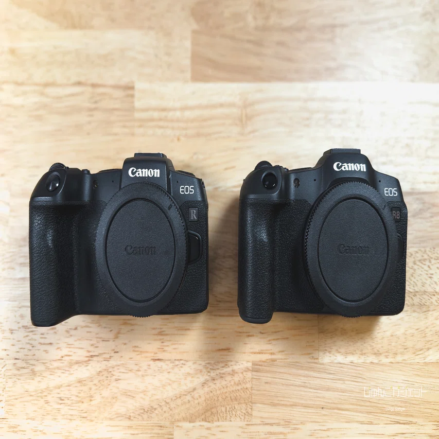 軽さは正義」EOS R8レビュー | 軽量フルサイズに求めた「ちょうどよさ 