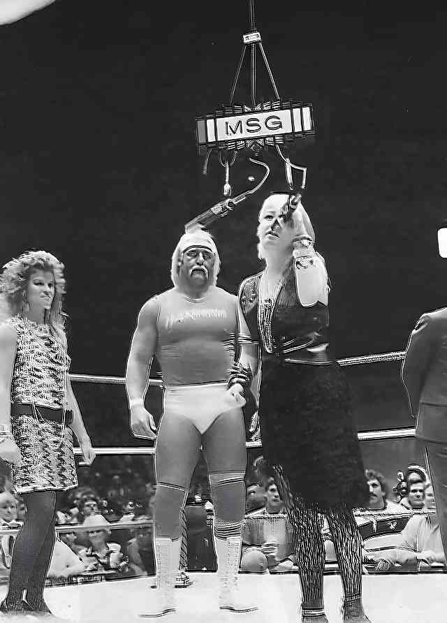 ビンテージ　ハルク・ホーガン　WWE　WWF 1991年　一番 GIJOE ハルク・ホーガン – 伊賀プロレス通信24時