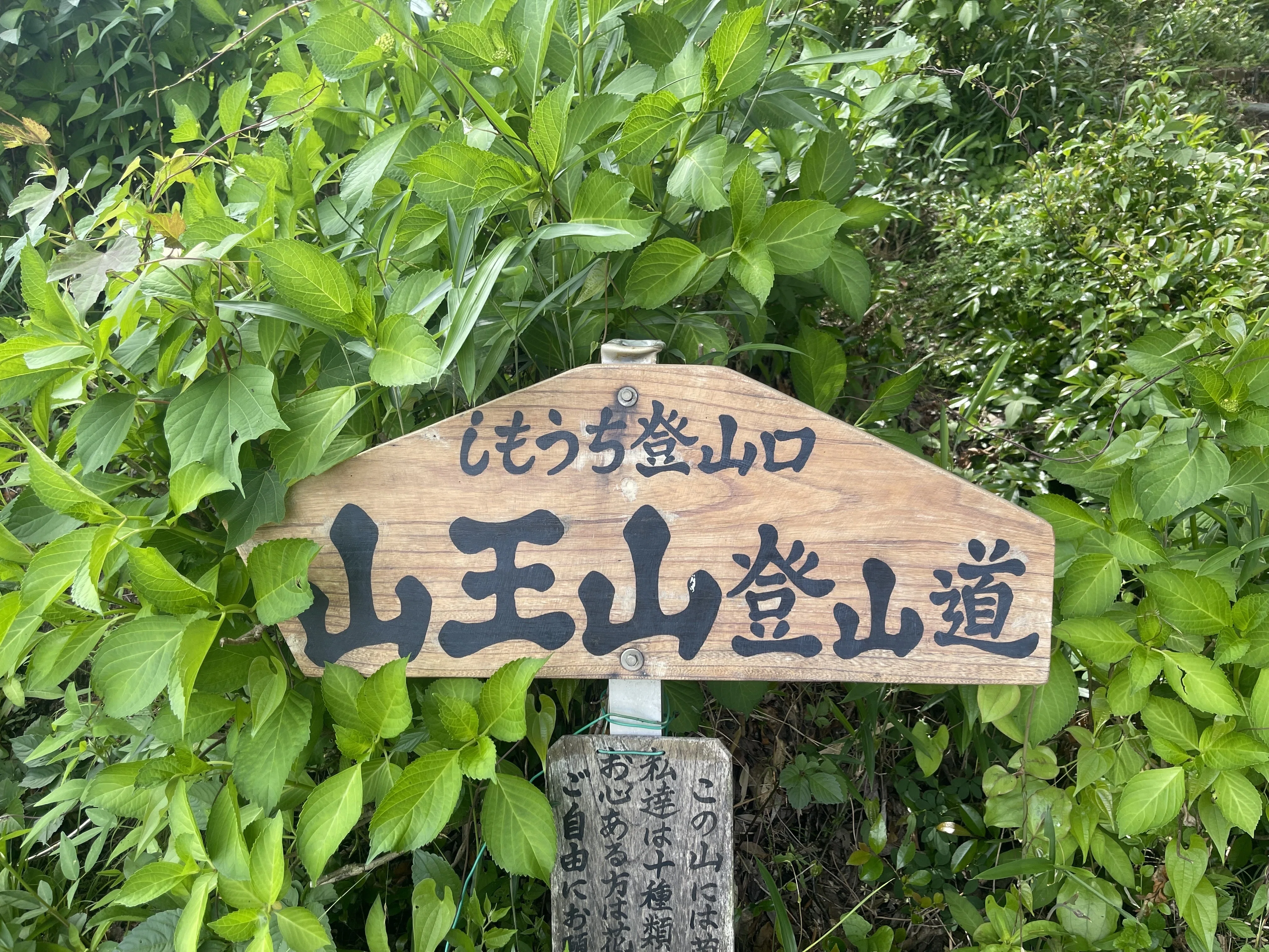 I climbed Sanno-yama in Seki City. 250725 Kato Blog｜鉄家具と暮らす