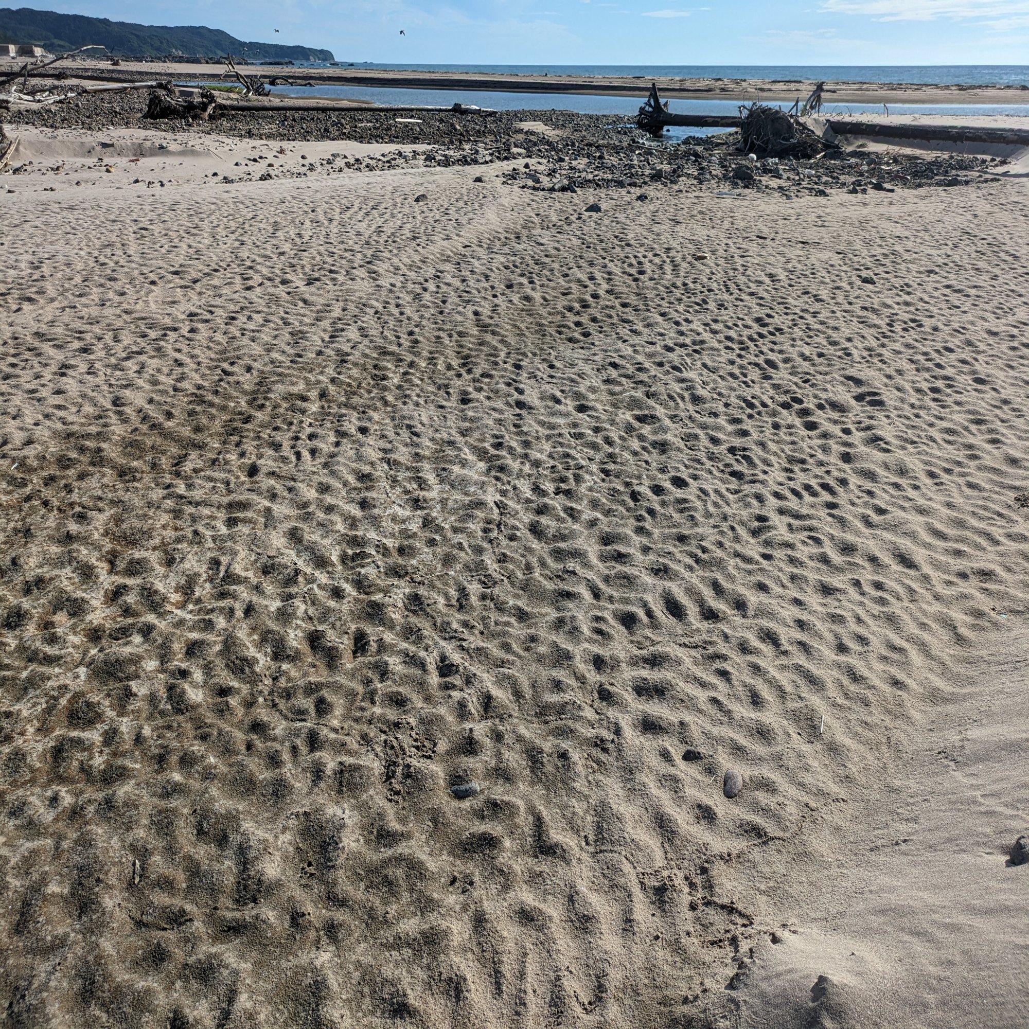 夏休み自由研究】鹿磯海岸でいろいろな模様を観察しよう｜roadexplorer