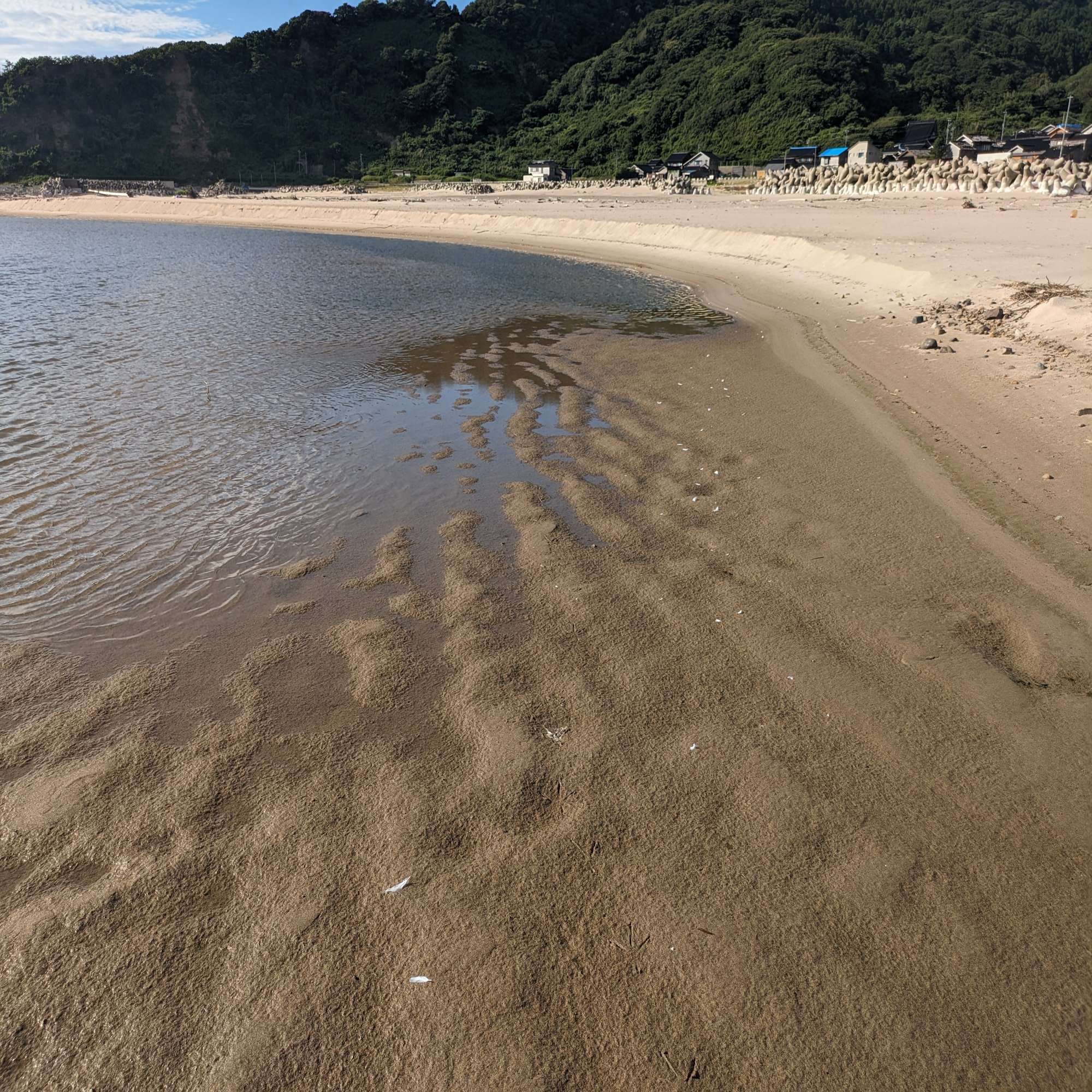 夏休み自由研究】鹿磯海岸でいろいろな模様を観察しよう｜roadexplorer
