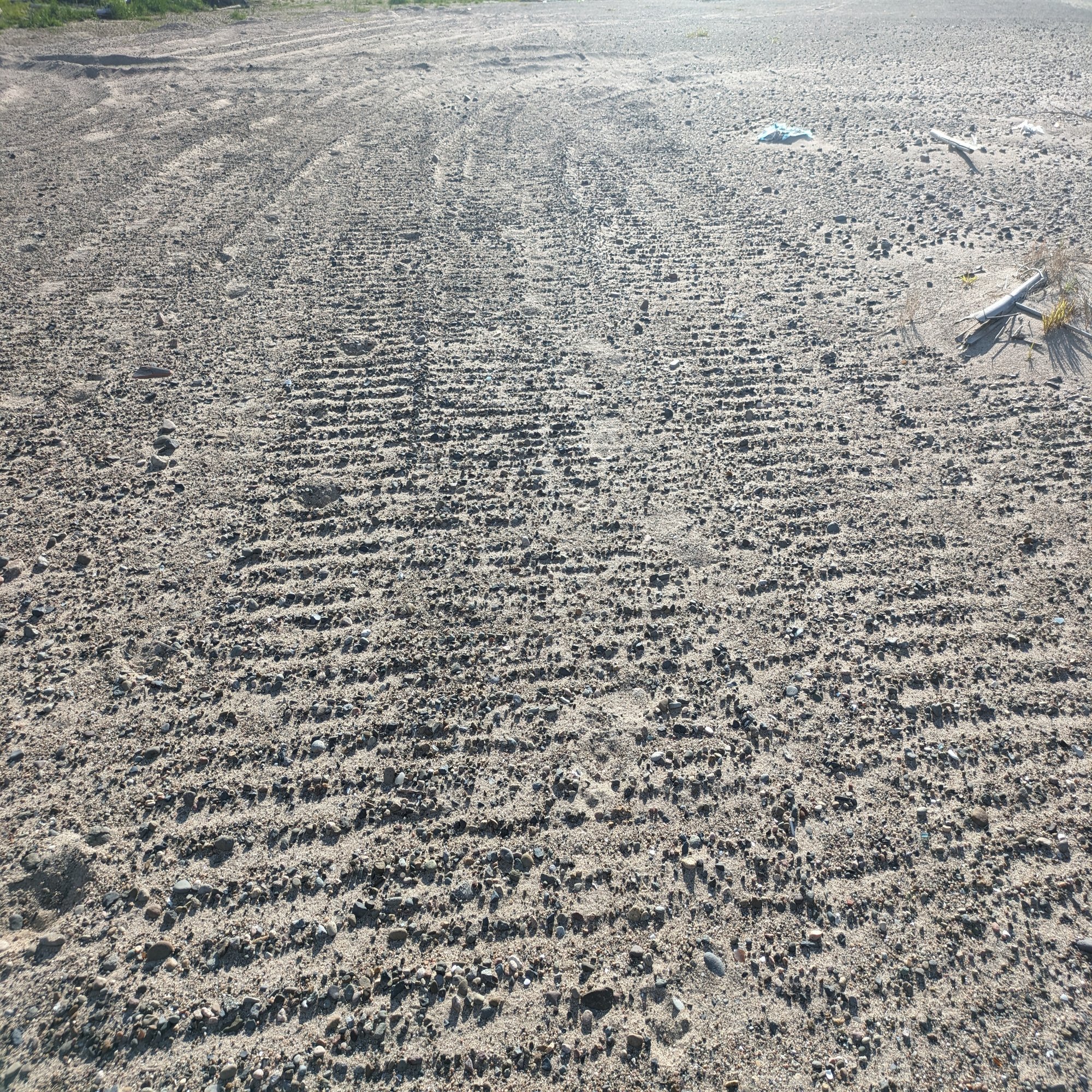 夏休み自由研究】鹿磯海岸でいろいろな模様を観察しよう｜roadexplorer