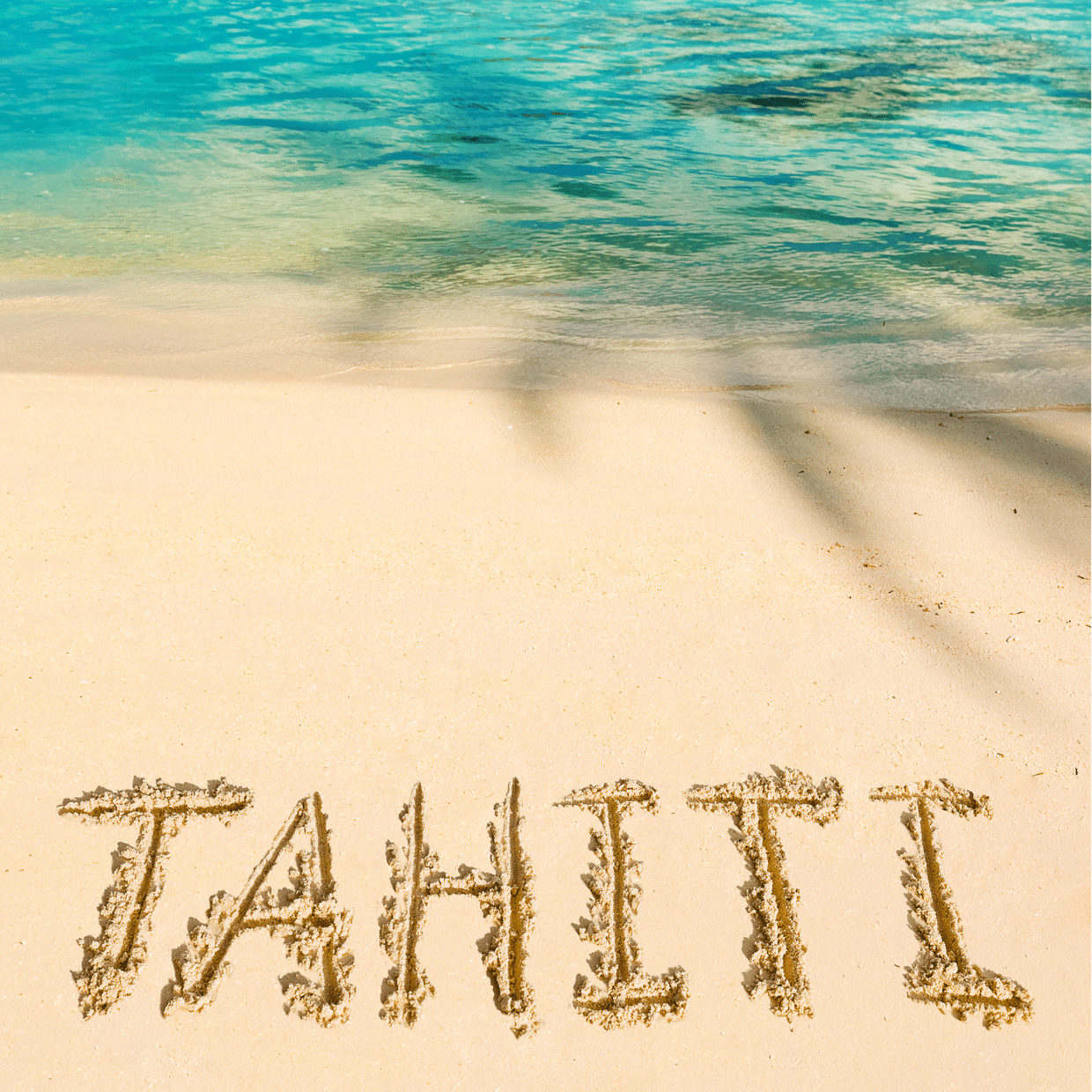 タヒチ語──海の記憶をたどる言葉[68言語目]｜tuuli（とぅり）