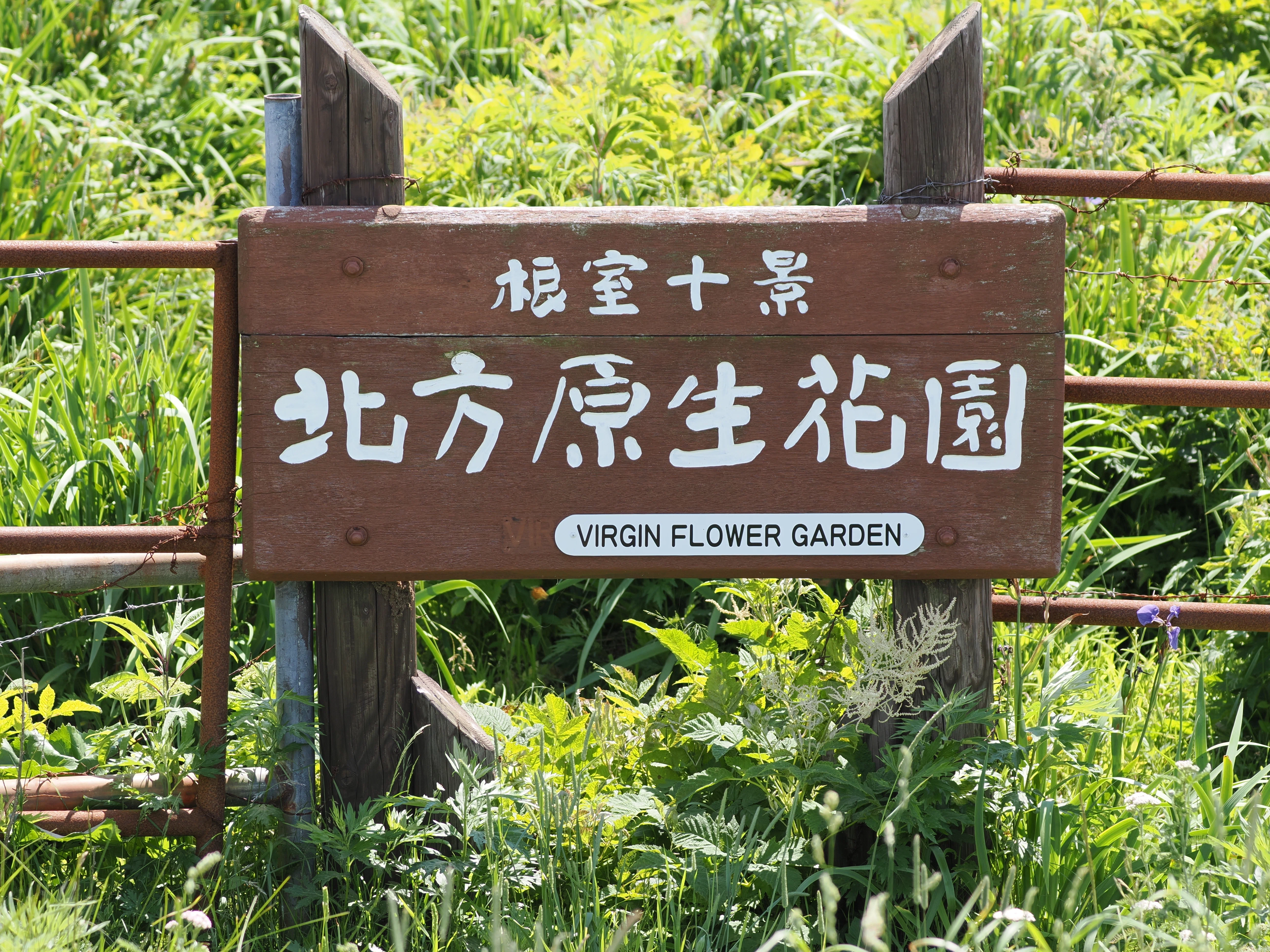 根室春国岱-北方原生花園（北海道遠征その5）｜akira@fuchu