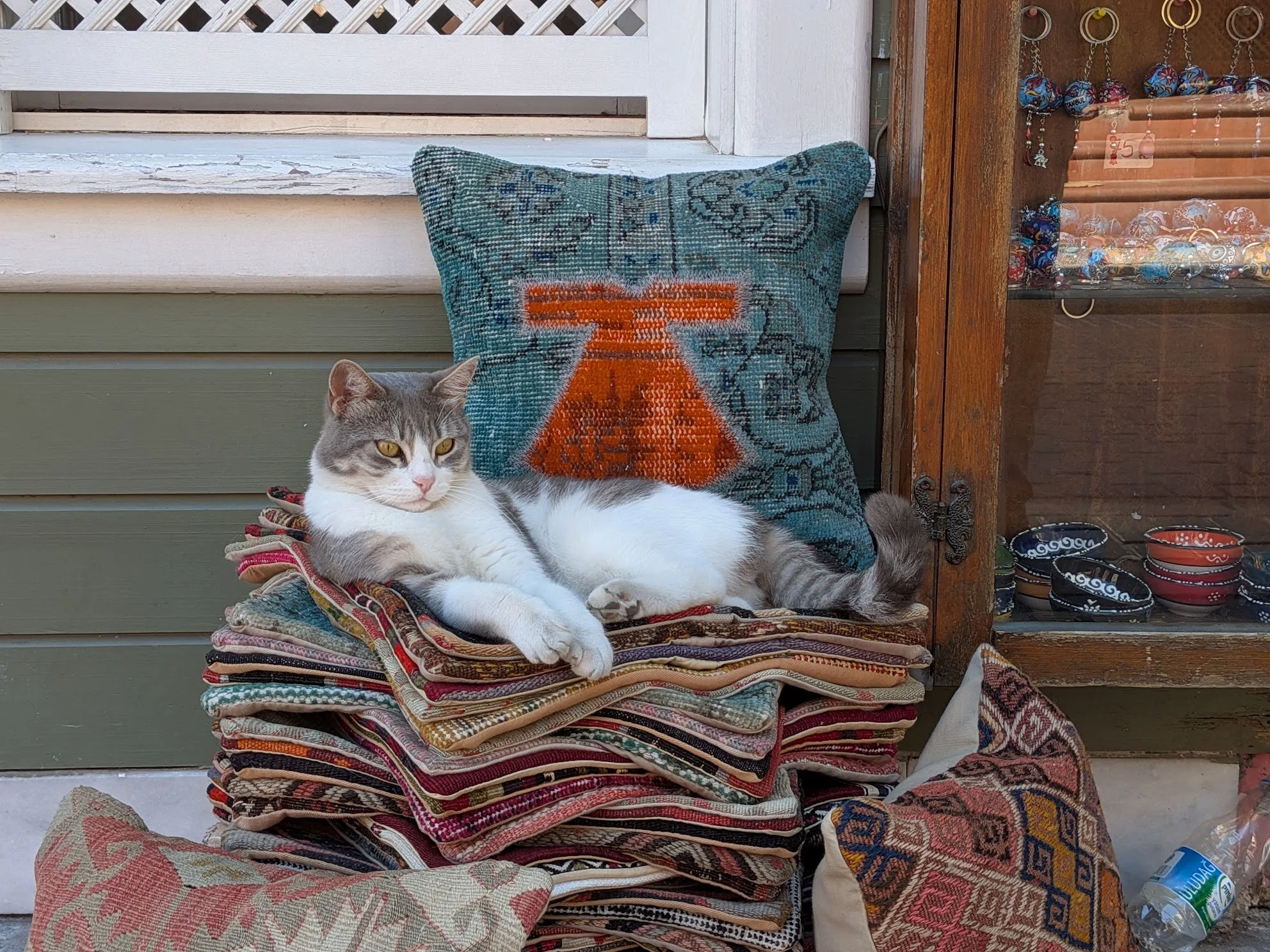イスタンブールは猫天国 - トルコ旅行の思い出 #3｜食塩出現 | 旅行記録